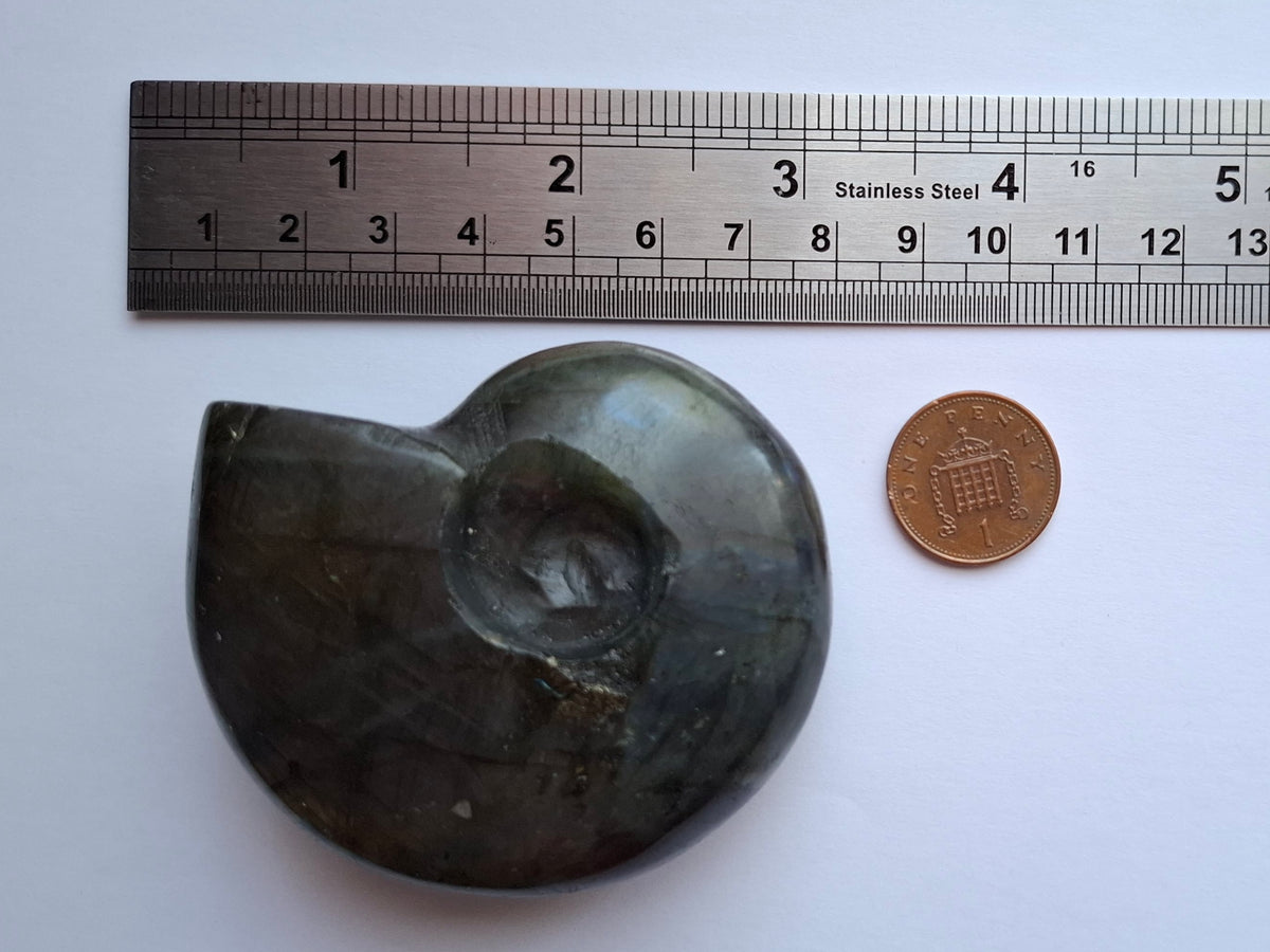 Labradorite Ammonite Carving, 146.90g, Crystal (Ref: laba5)