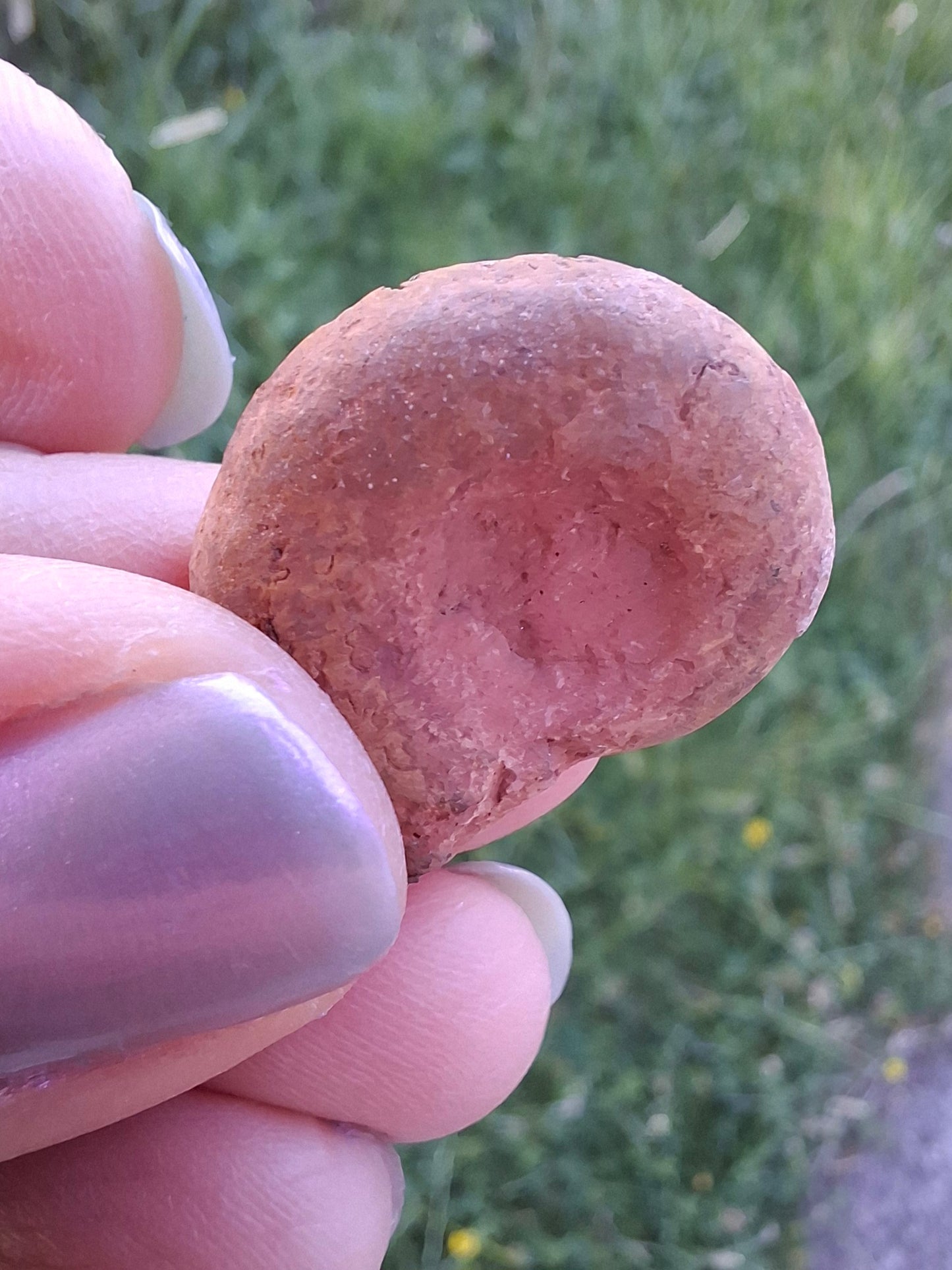 Small Haematite Ammonite HALF, (2.91g), Fossil (Ref: MA1)