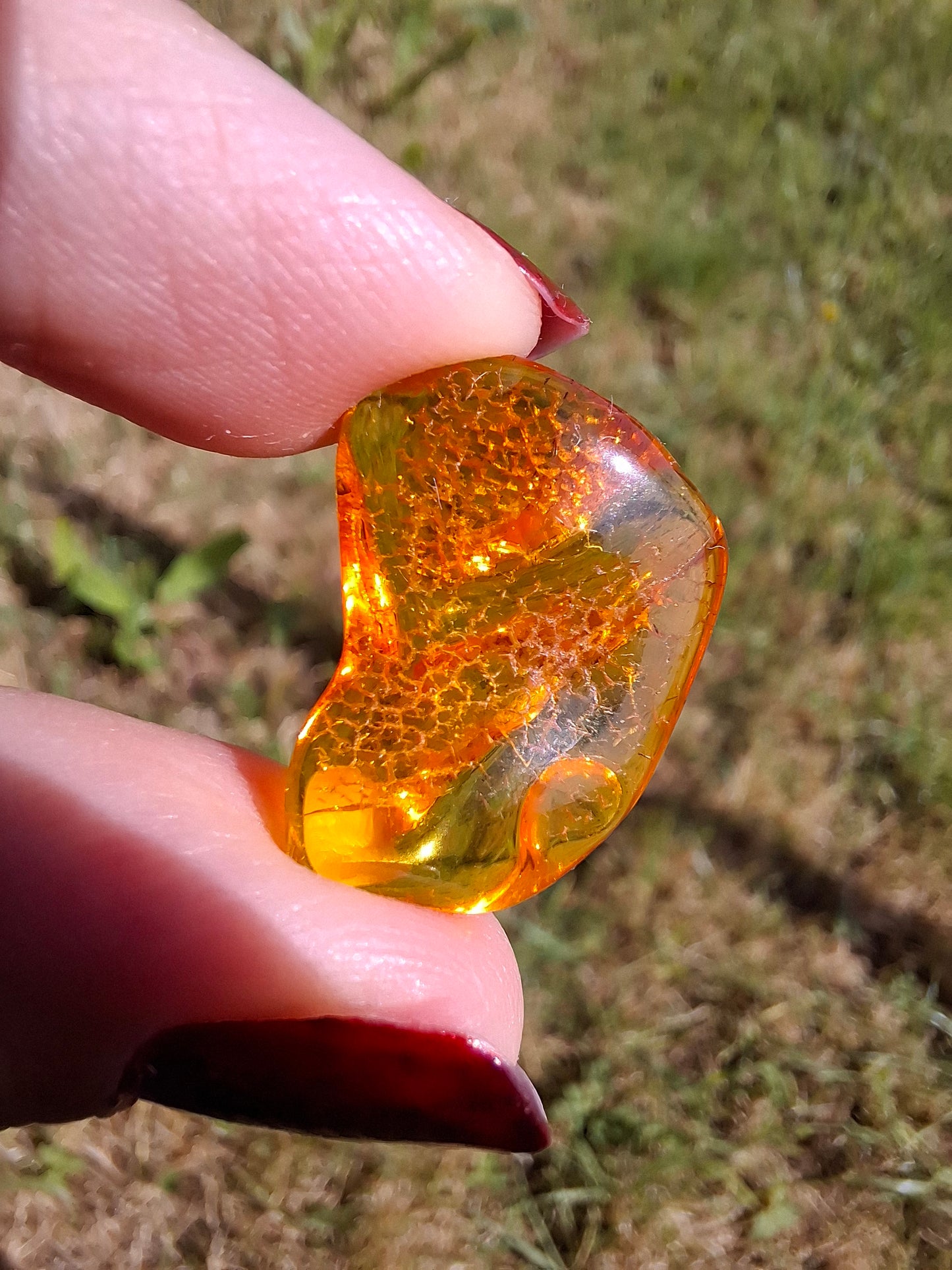 Baltic Amber, 1.07g, Fossil (Ref: A98)