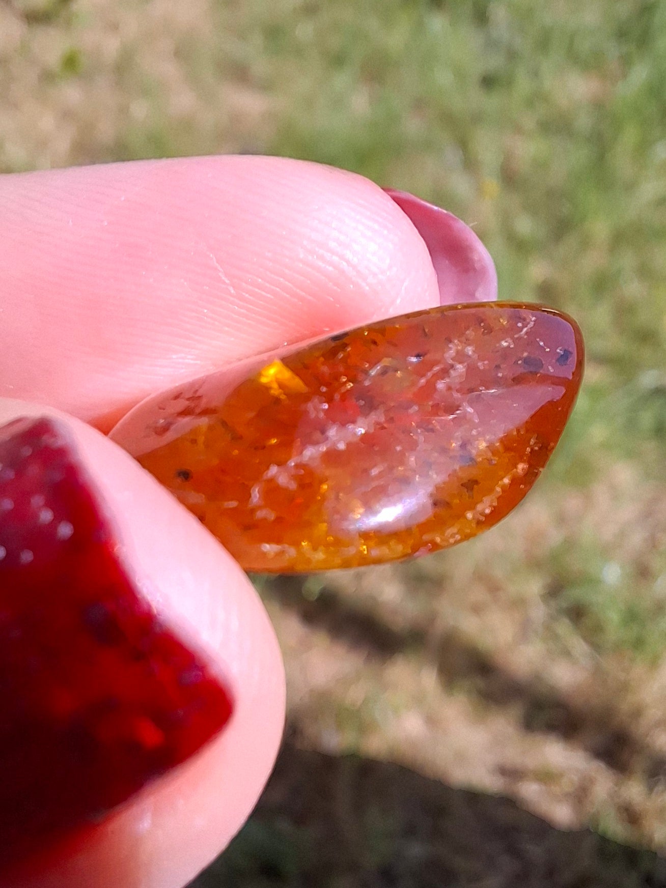 Baltic Amber, 1.59g, Fossil (Ref: A244)