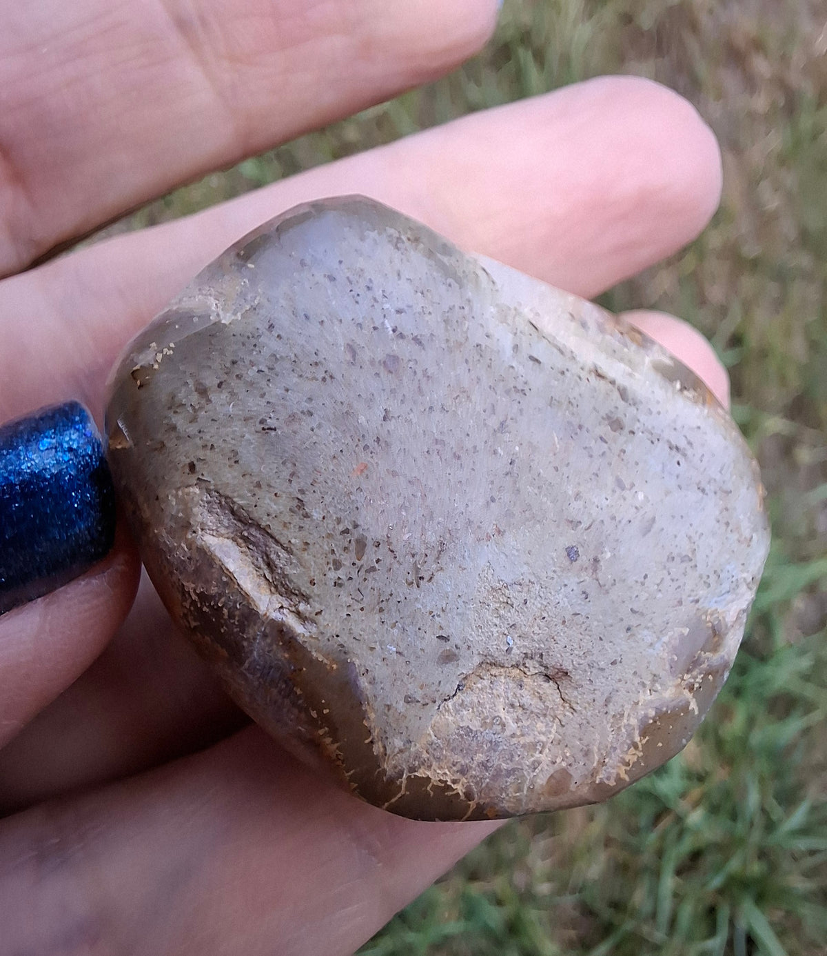 Polished Sea Urchin, Fossil (Ref: SU5)