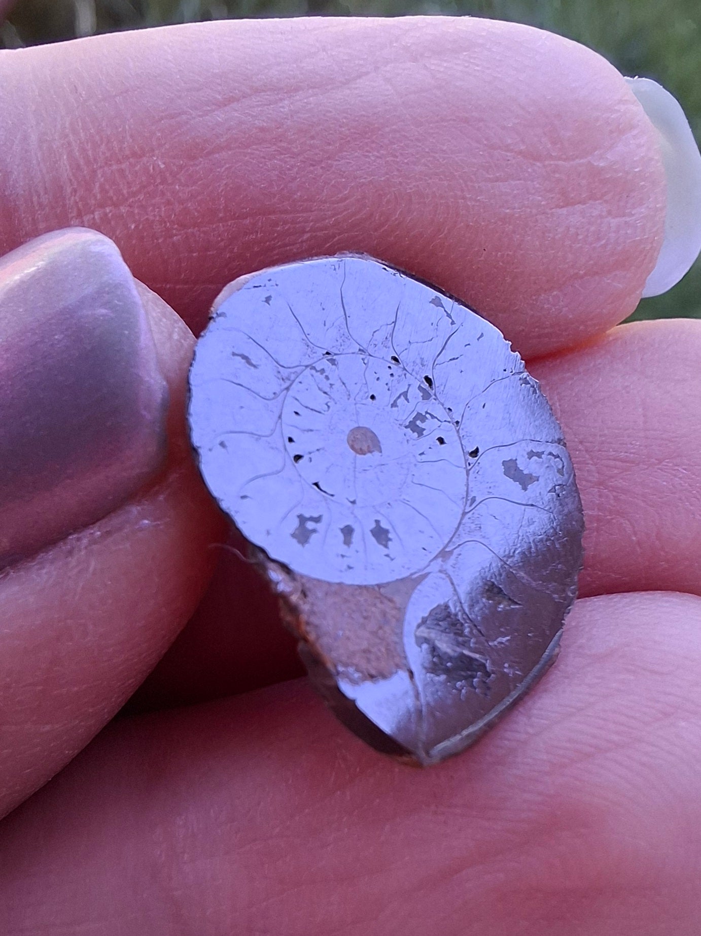 Small Haematite Ammonite HALF, 1.36g, Fossil (Ref: MA12)