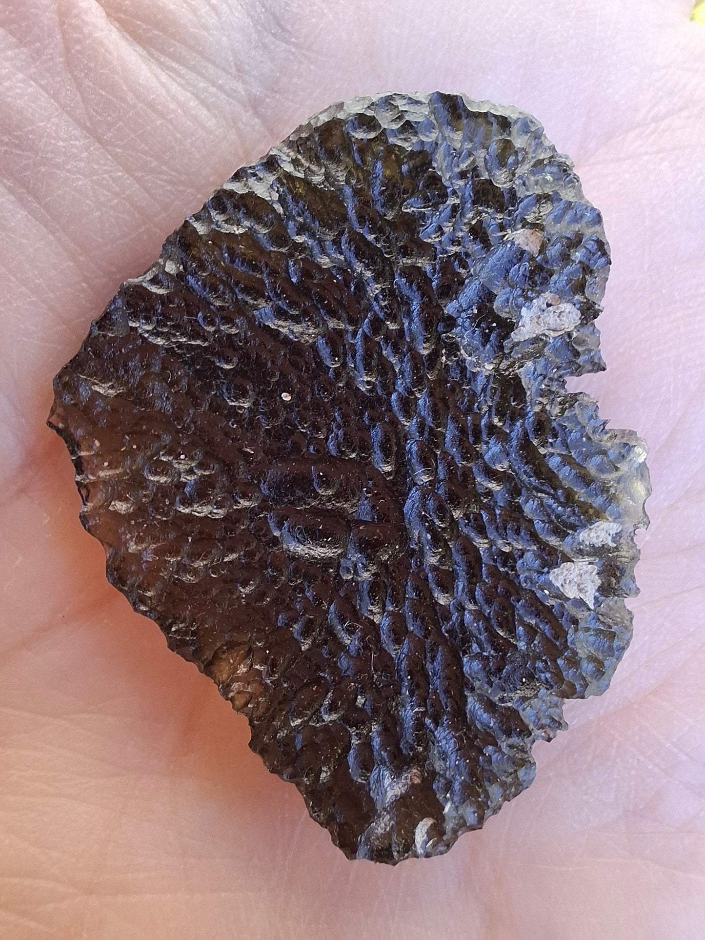 Moldavite Piece, CHLUM, 11.18g, Tektite (Ref: 1166)