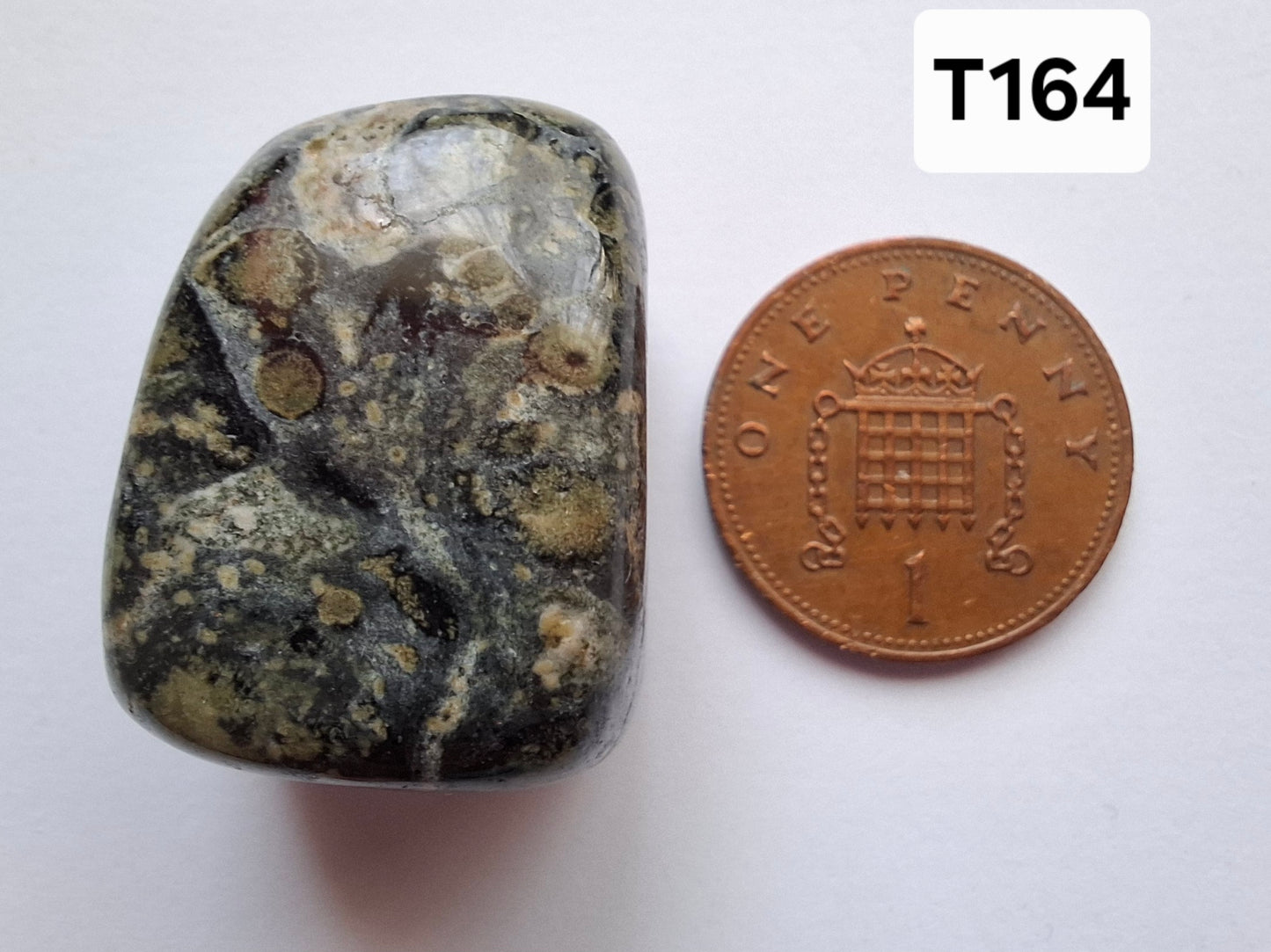 Kambaba Jasper, Tumble Stone, Crystal (Ref: T164)
