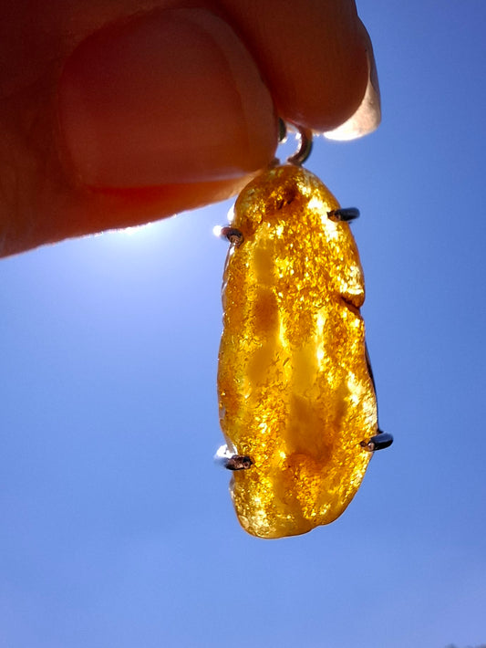 Baltic Amber Pendant, 925 Silver, Fossil (Ref: AP2)
