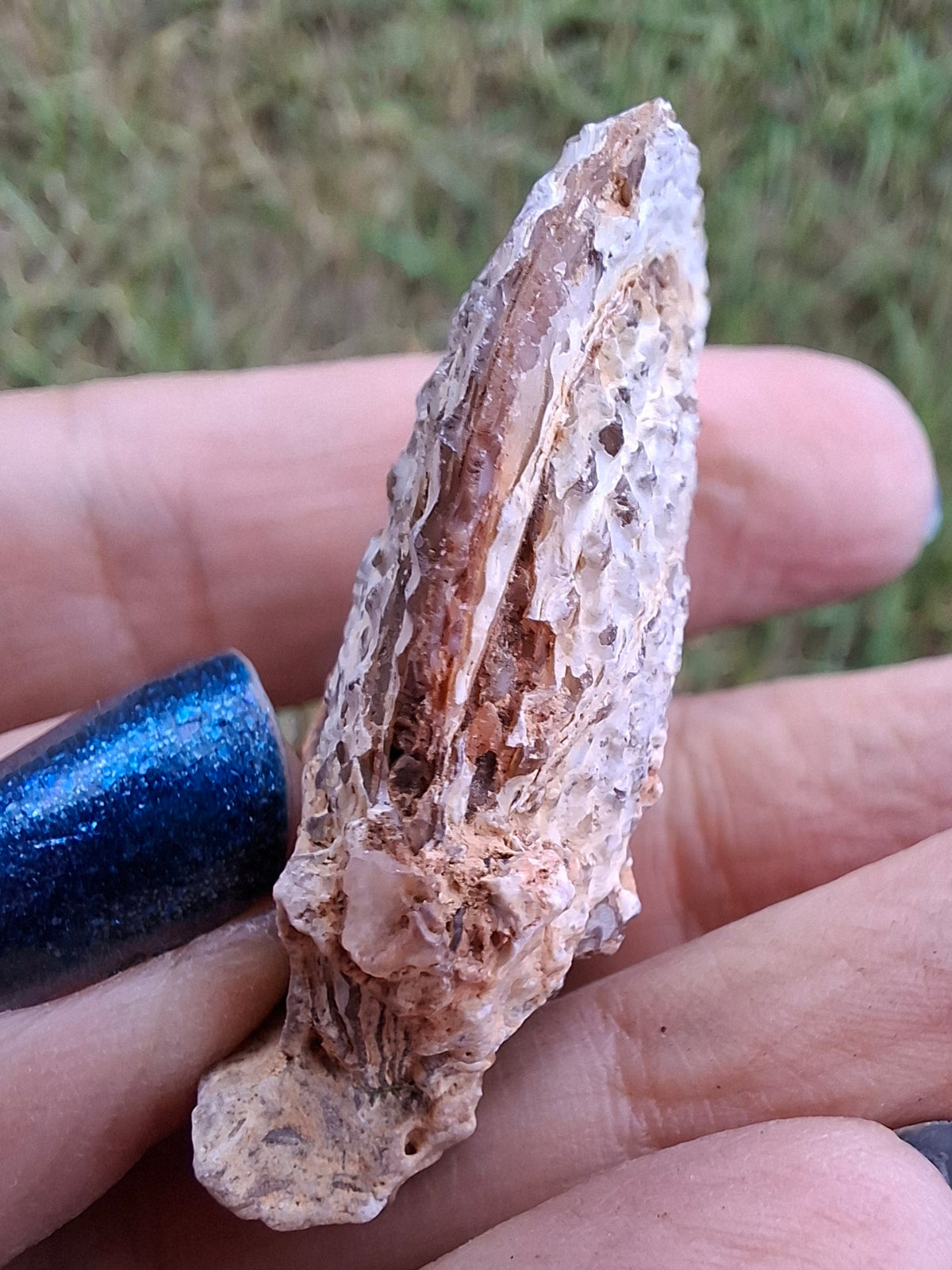 Chalcedony Oyster, Fossil (Ref: FO1)