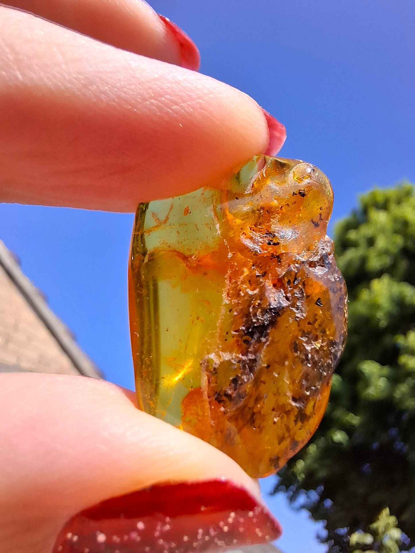 Baltic Amber, 2.09g, Fossil (Ref: A54)