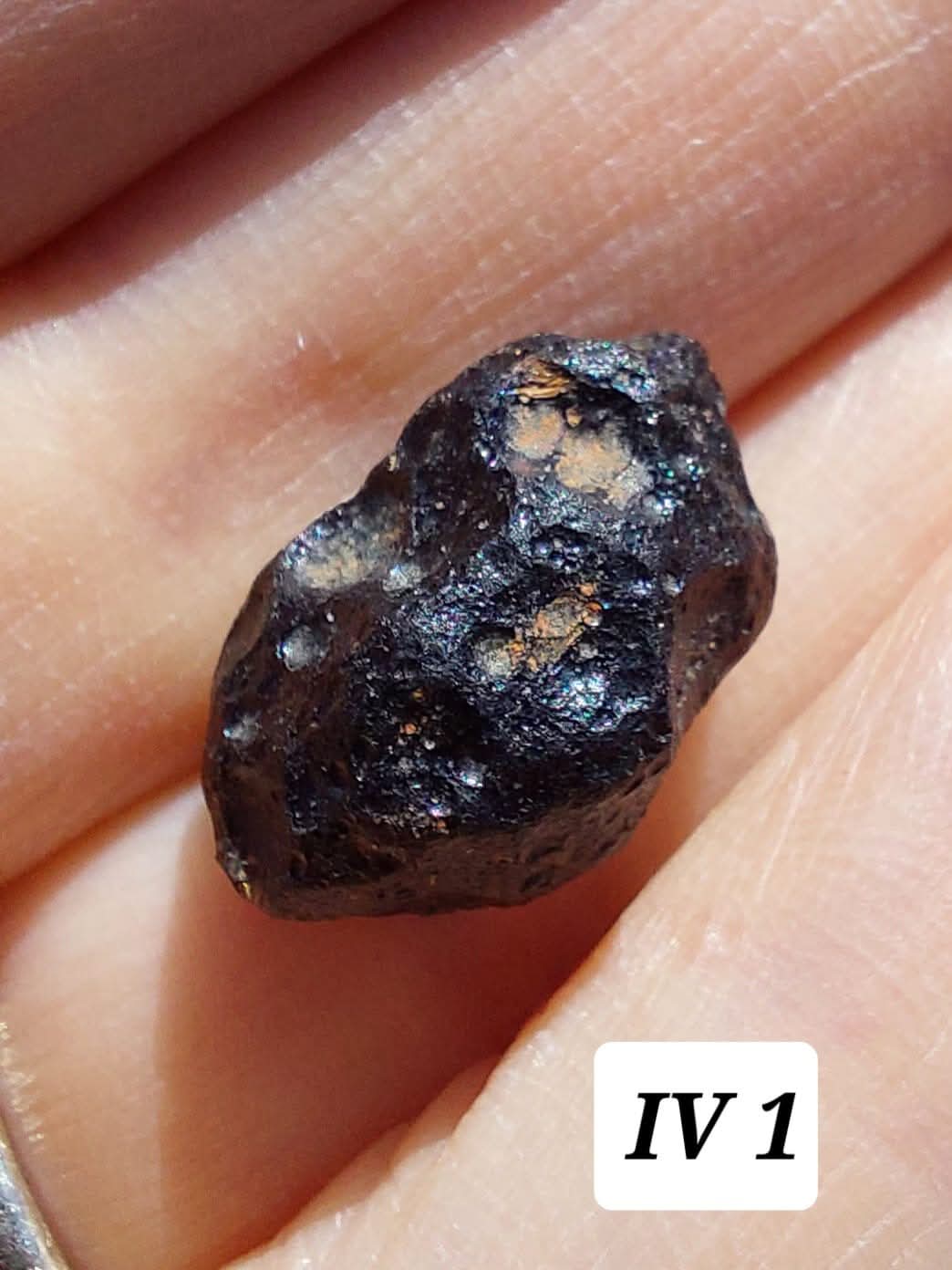 Ivory Coast (Ivorite), RAREST TEKTITE IN THE WORLD, 2.76g, Tektite (Ref: IV1)
