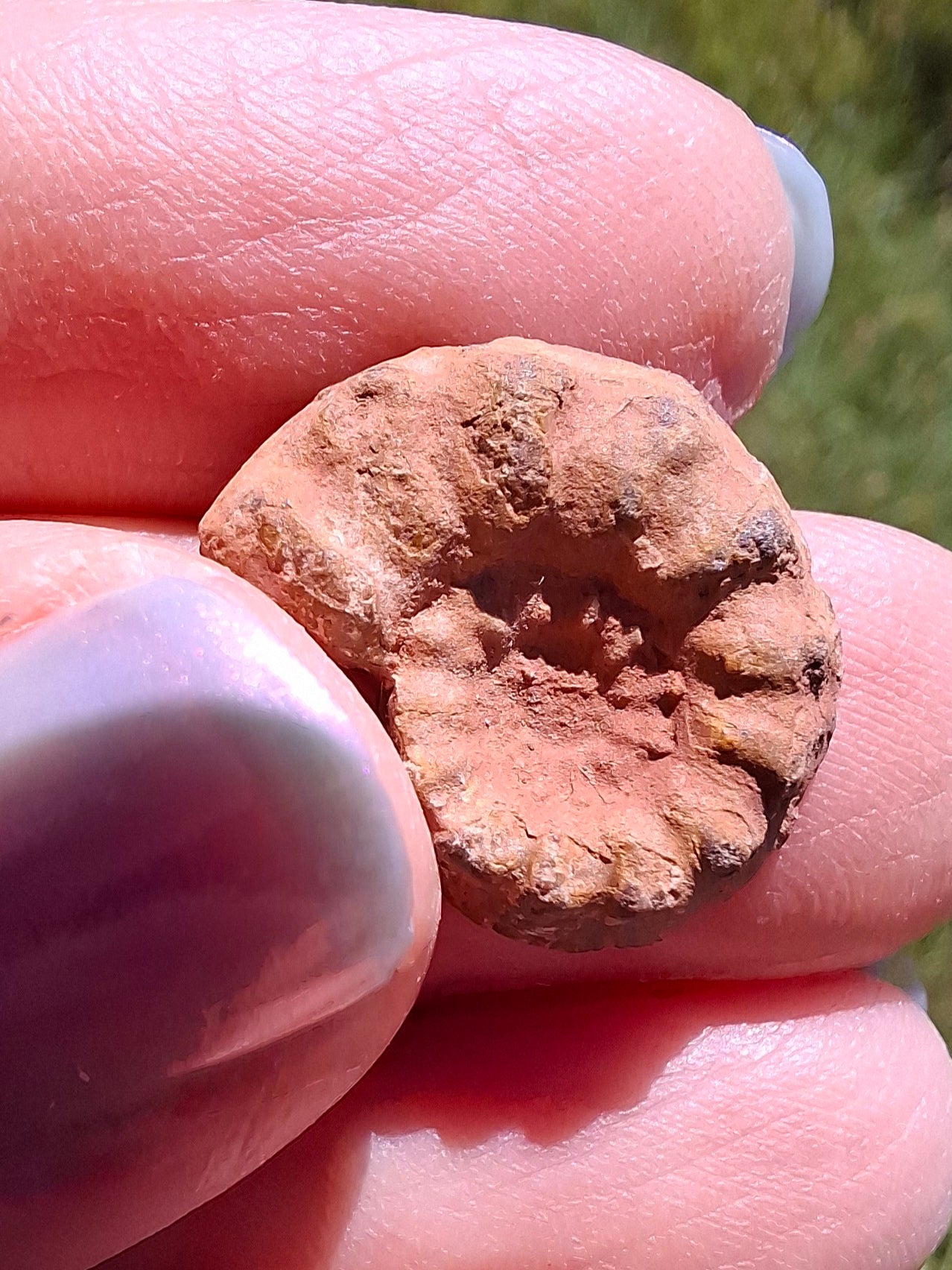 Small Haematite Ammonite HALF, 1.41g, Fossil (Ref: MA6)