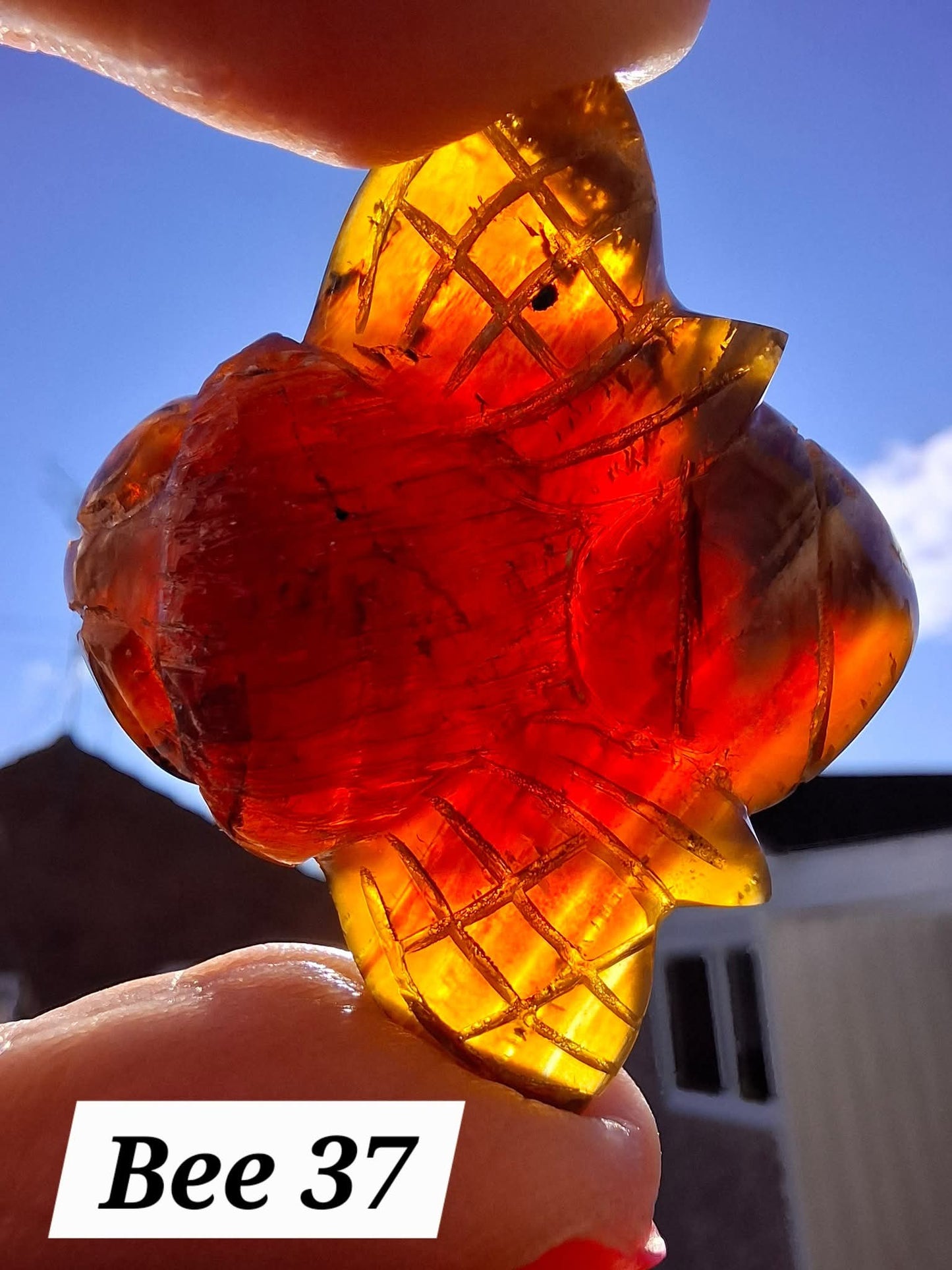 Red Amber Honey Bee Carving, 7.47g, Fossil (Ref: Bee37)