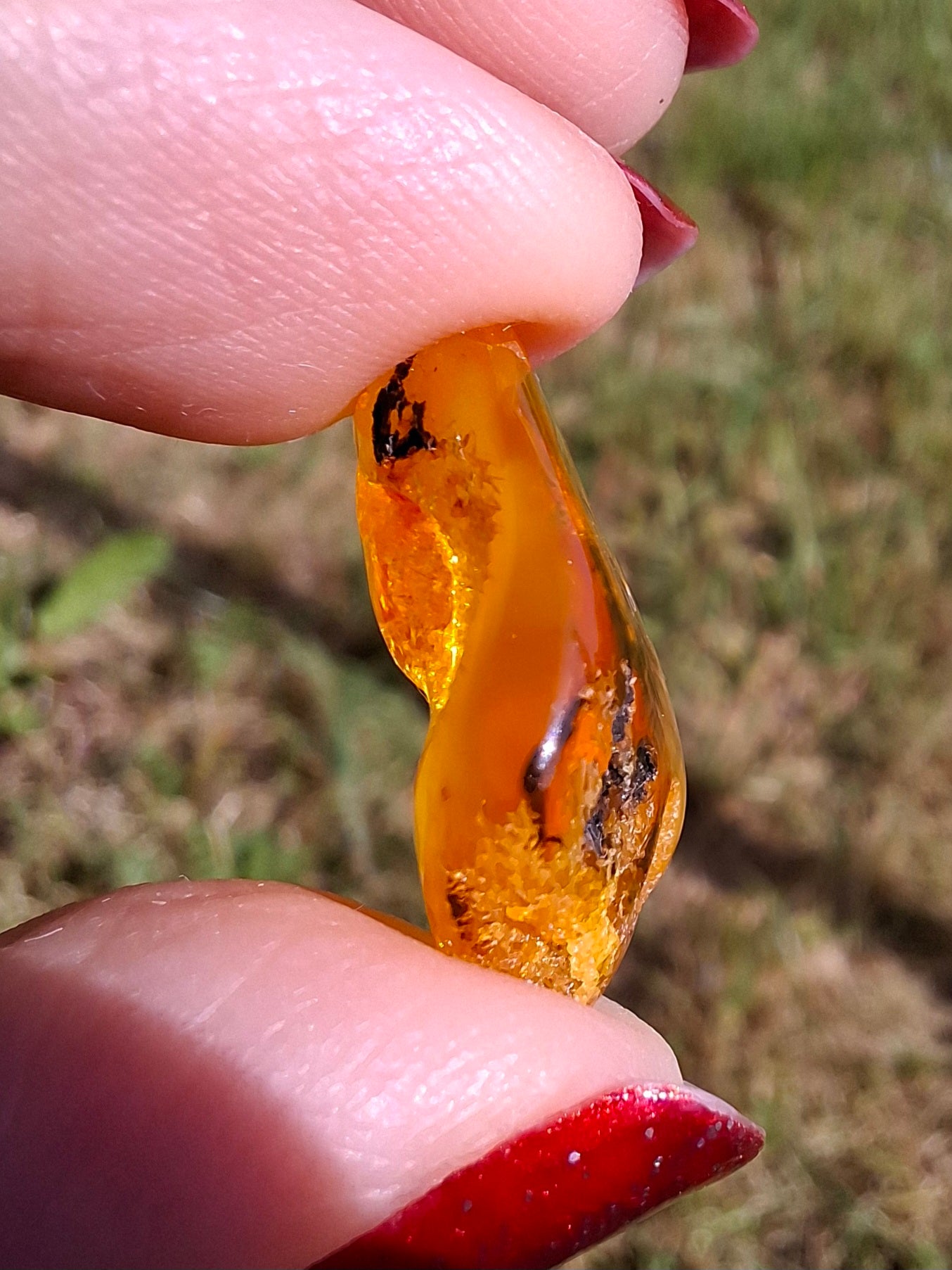 Baltic Amber, 1.74g, Fossil (Ref: A201)