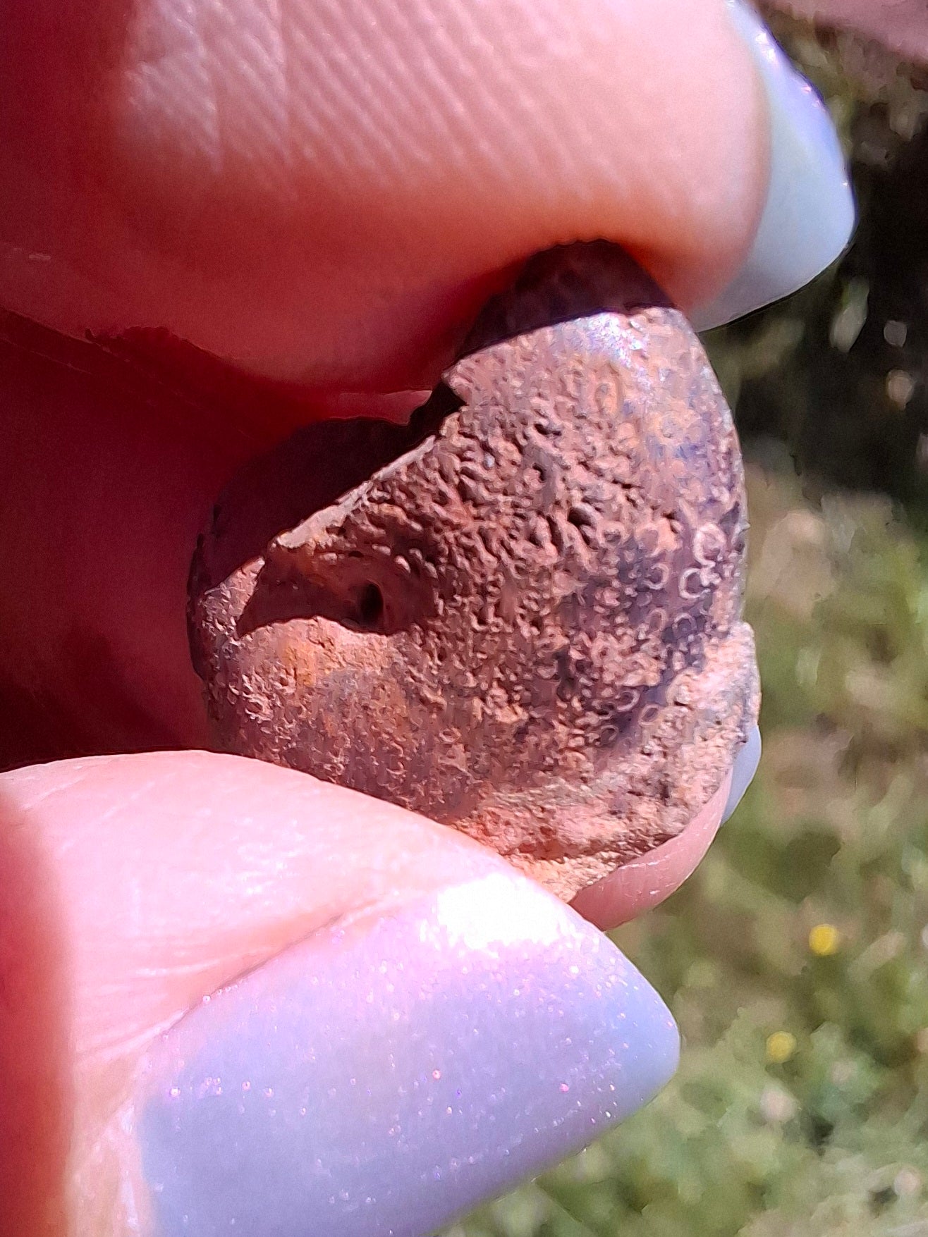 Small Haematite Ammonite HALF, 1.32g, Fossil (Ref: MA5)