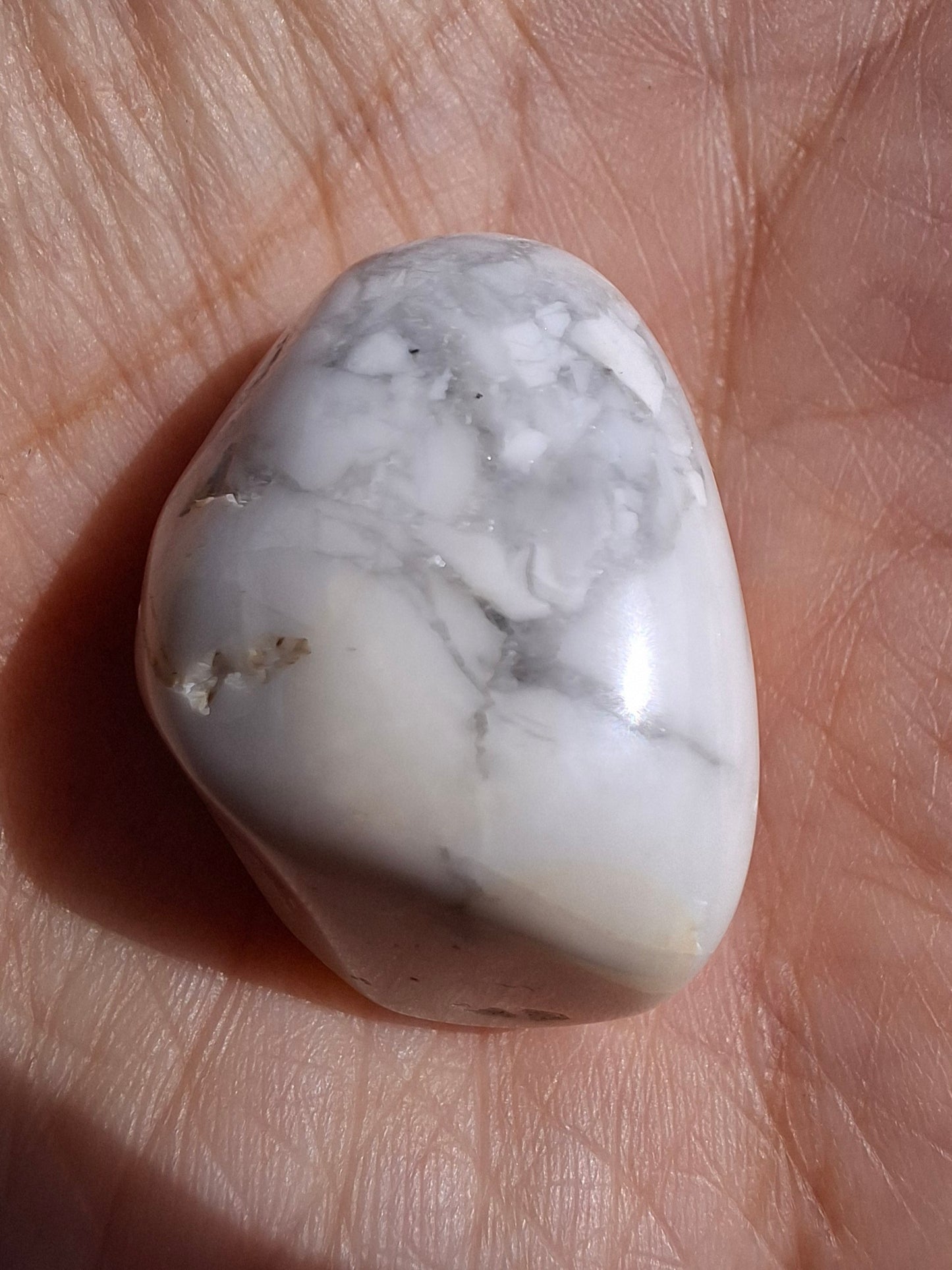 Howlite, Tumble Stone, Crystal (Ref: T40)