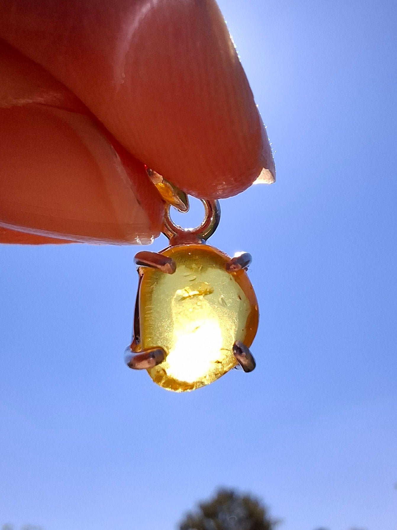 Baltic Amber Pendant, 925 Silver, Fossil (Ref: AP16)