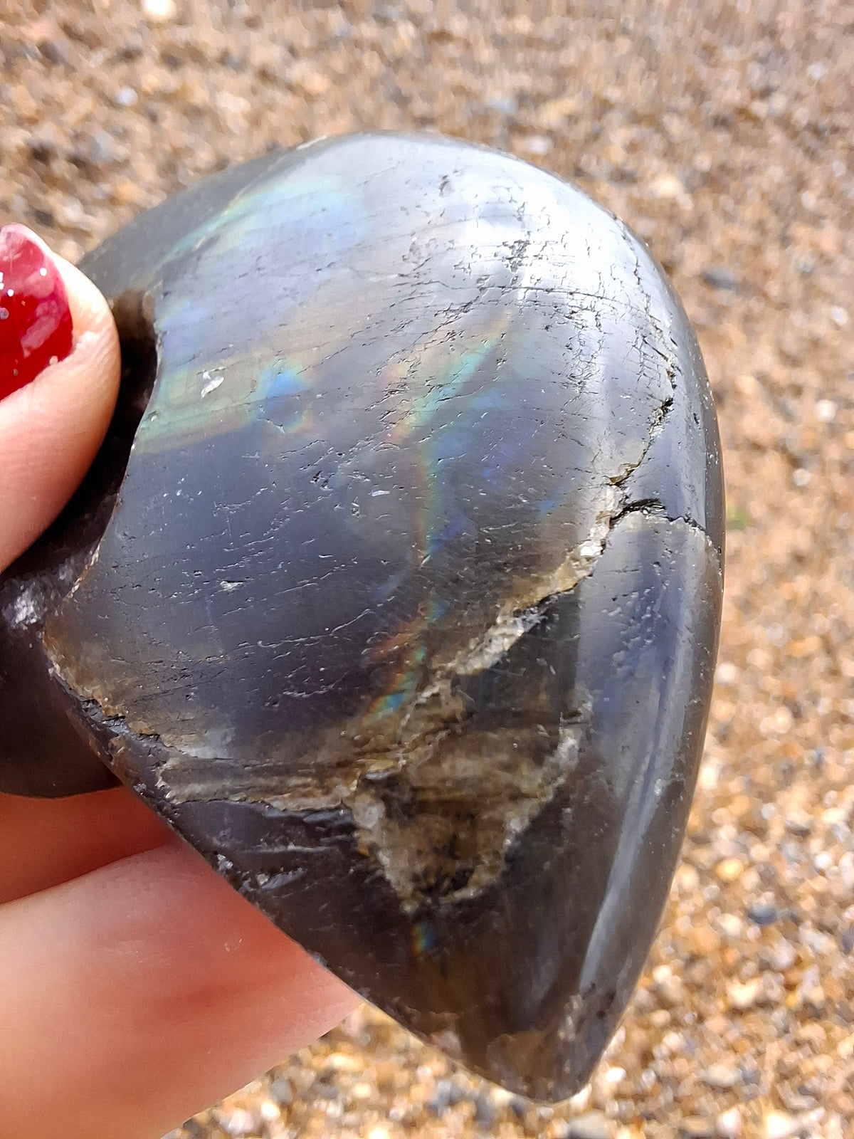 Labradorite Ammonite Carving, 89.31g, Crystal (Ref: laba6)