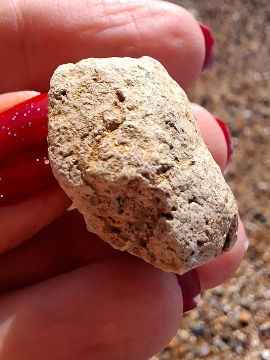Sauropod Dinosaur Coprolite, 11.61g, Fossil (Ref: DP3)