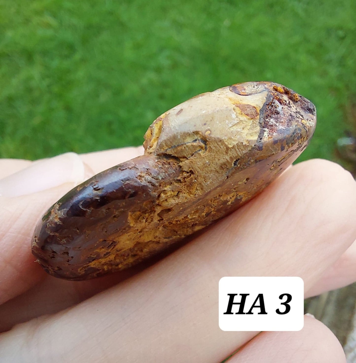 Hematite Ammonite, 16.00g, Fossil (Ref: HA3)