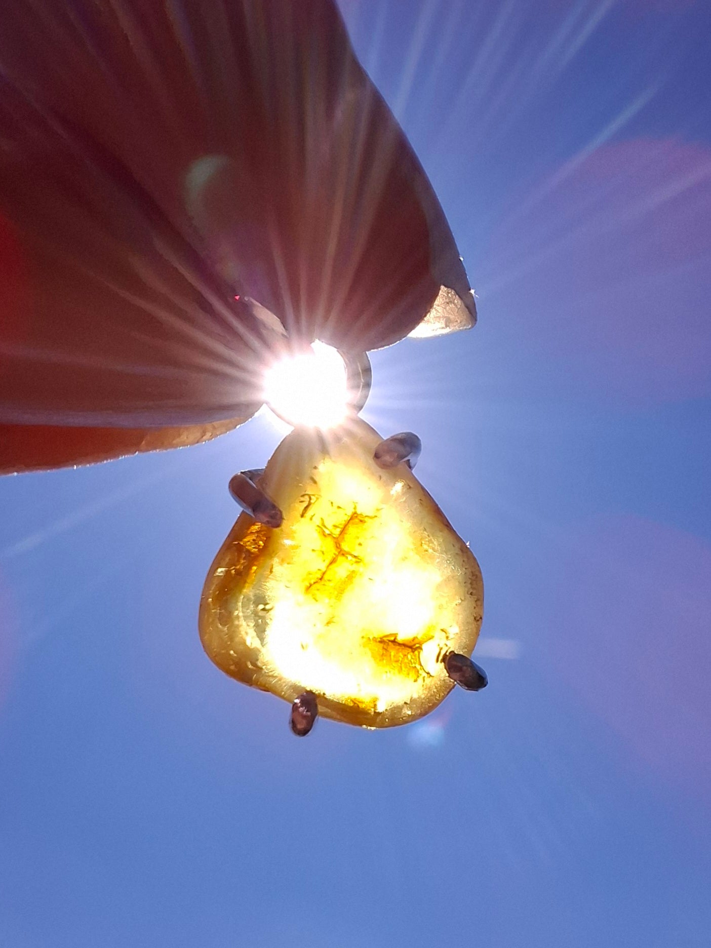 Baltic Amber Pendant, 925 Silver, Fossil (Ref: AP28)