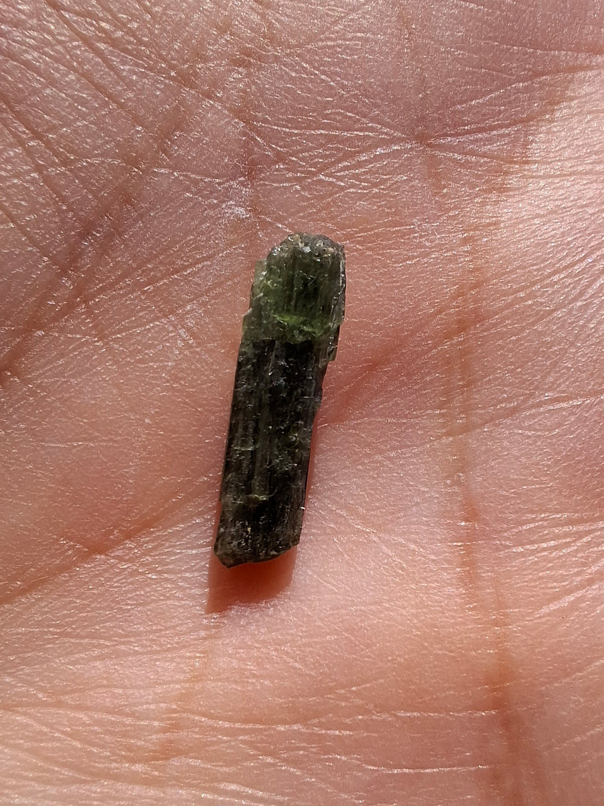Diopside, 0.48g, Crystal (Ref: DIO7)
