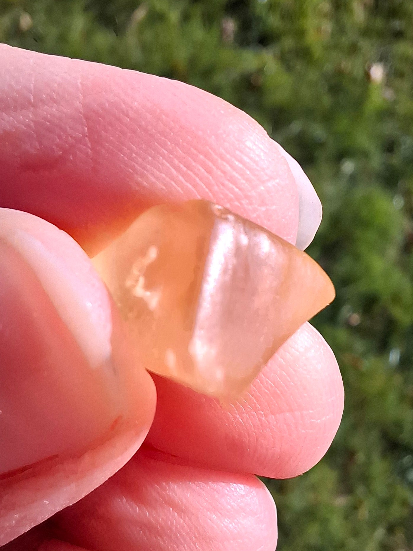 Libyan Desert Glass small Piece, 1.50g, Tektite (Ref: L1354)