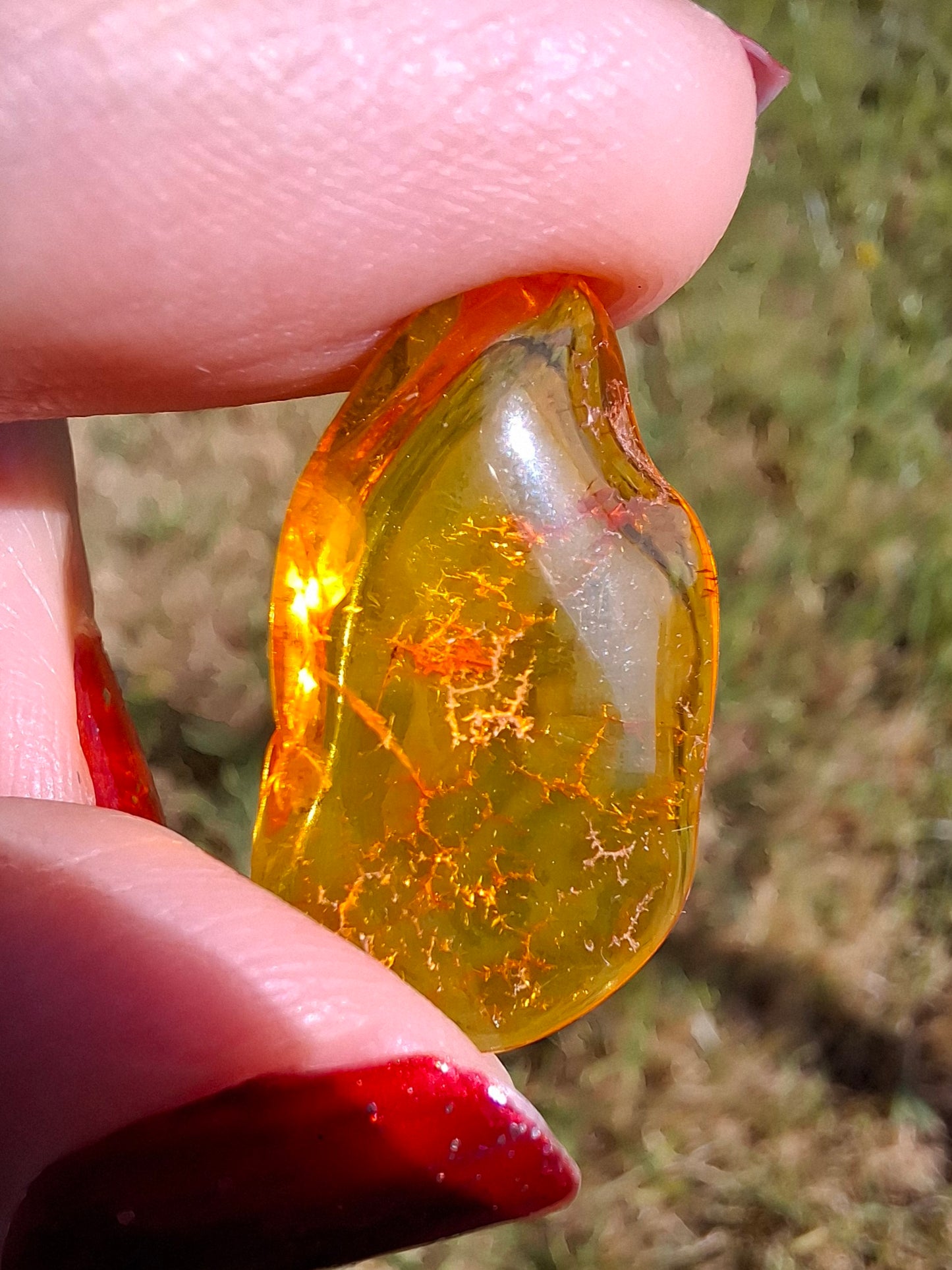 Baltic Amber, 1.16g, Fossil (Ref: A126)