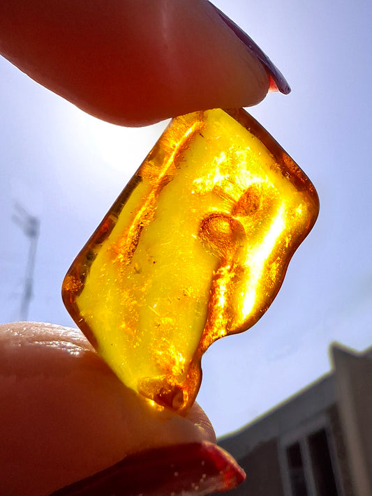 Baltic Amber, 1.40g, Fossil (Ref: A187)