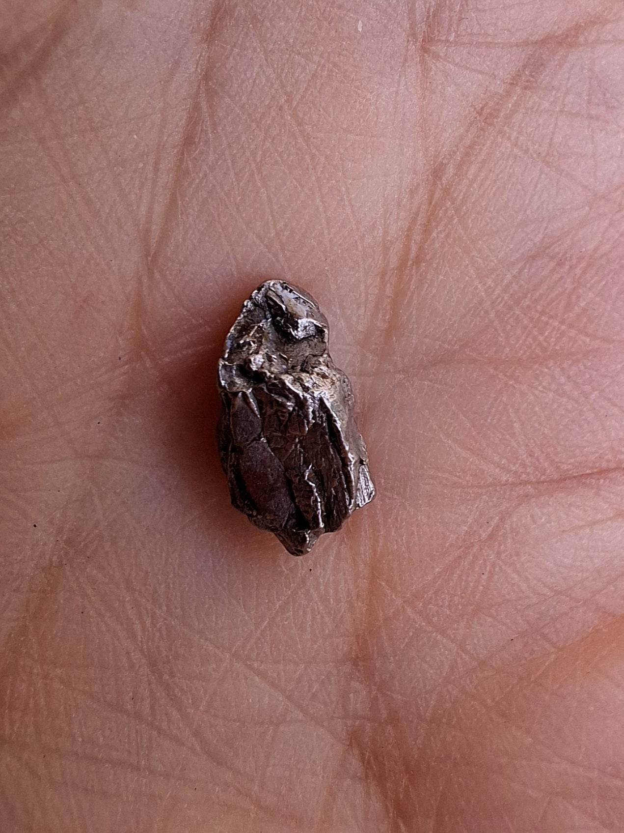 Campo del Cielo, 1.05g, Nickel Iron Meteorite (Ref: C11)