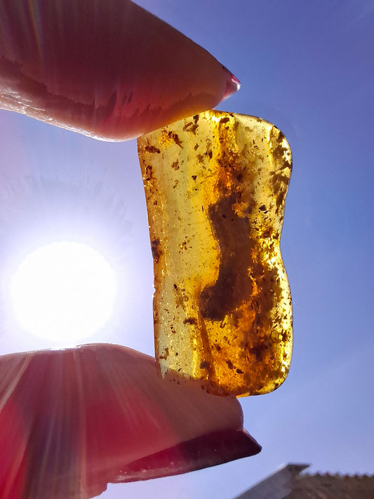 Baltic Amber, 1.84g, Fossil (Ref: A193)