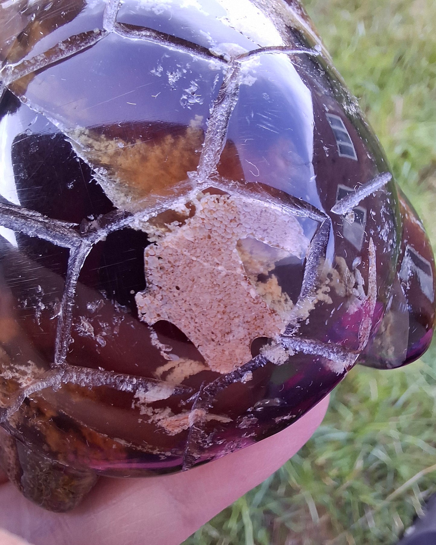Red Amber Turtle, 56.87g, Carving, Fossil (Ref:TT7)