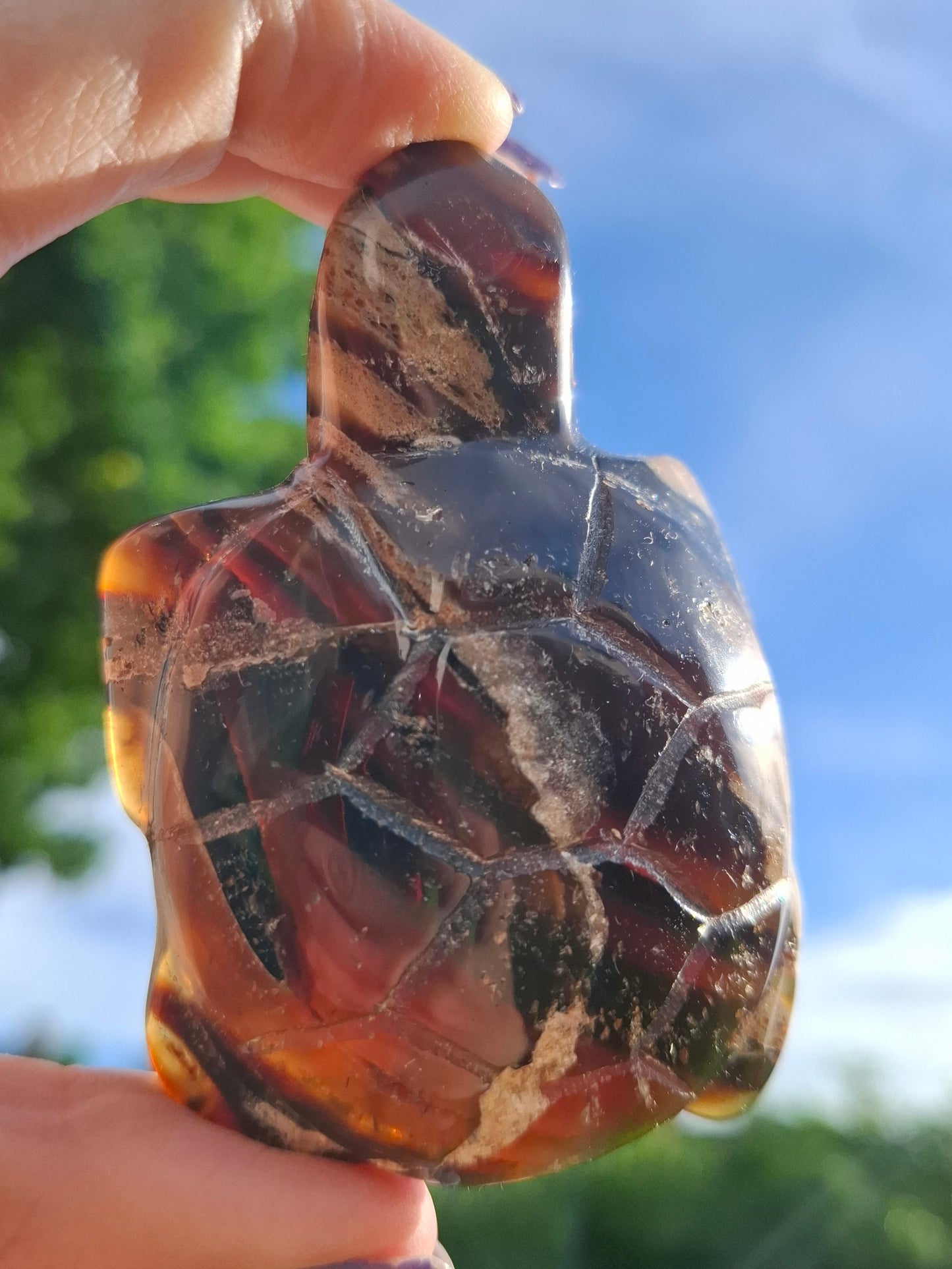 Red Amber Turtle, 50.00g, Carving, Fossil (Ref: TT6)