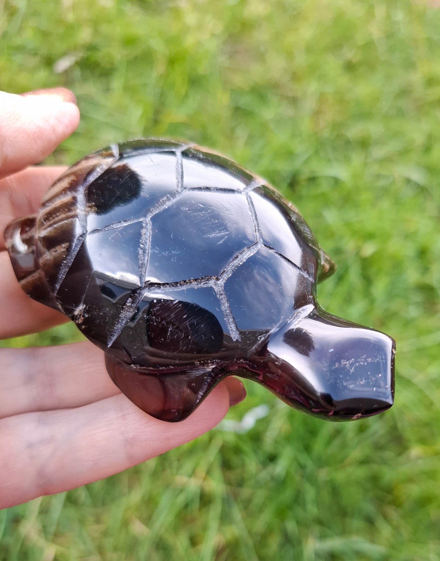 Red Amber Turtle, 59.07g, Carving, Fossil (Ref: TT5)