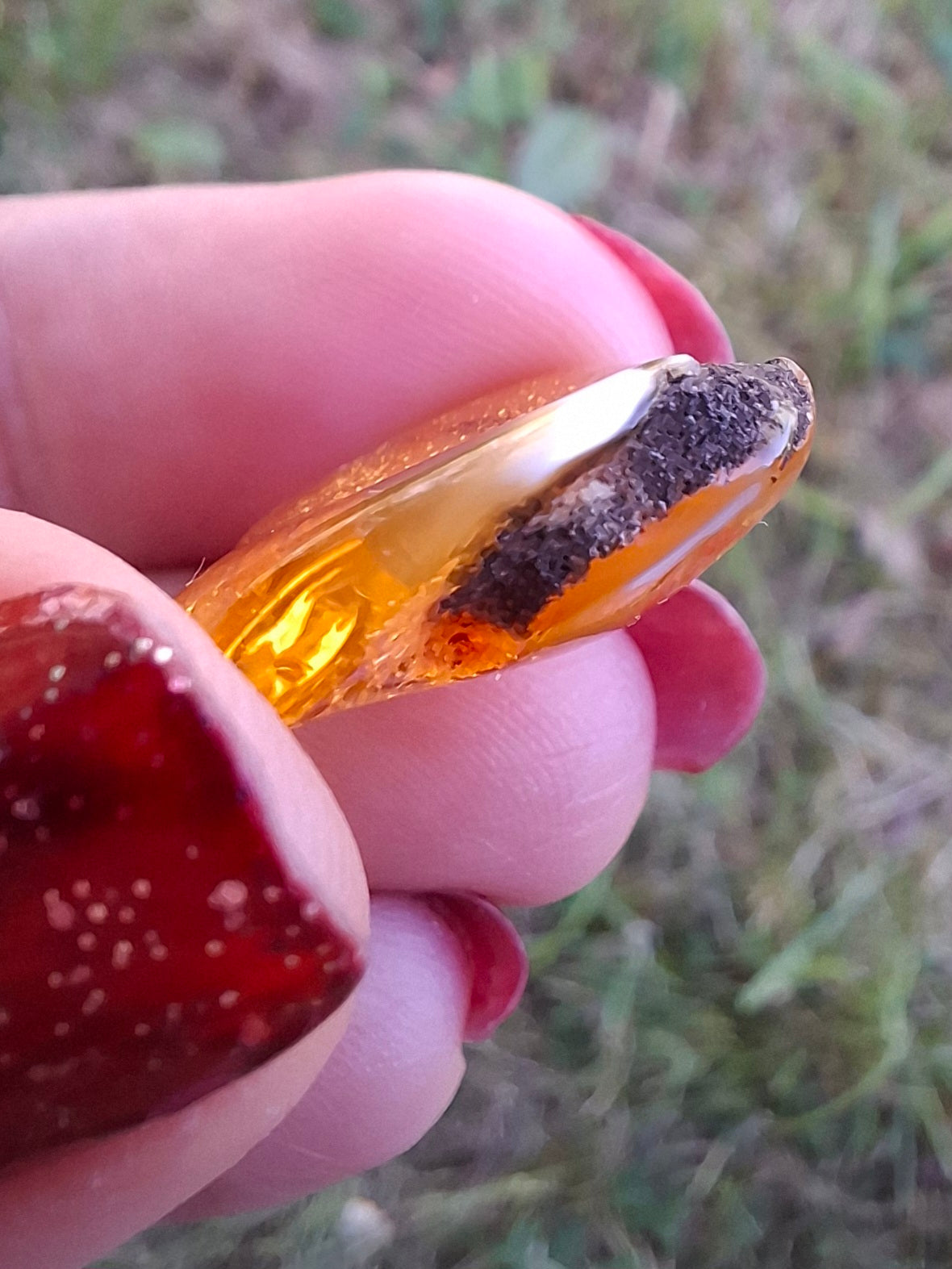 Baltic Amber, 1.45g, Fossil (Ref: A76)