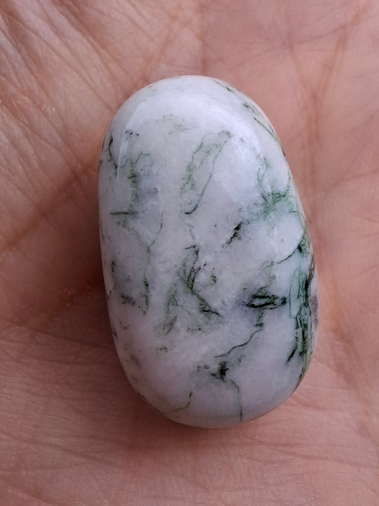 Tree Agate, Tumble Stone, Crystal (Ref: T3)