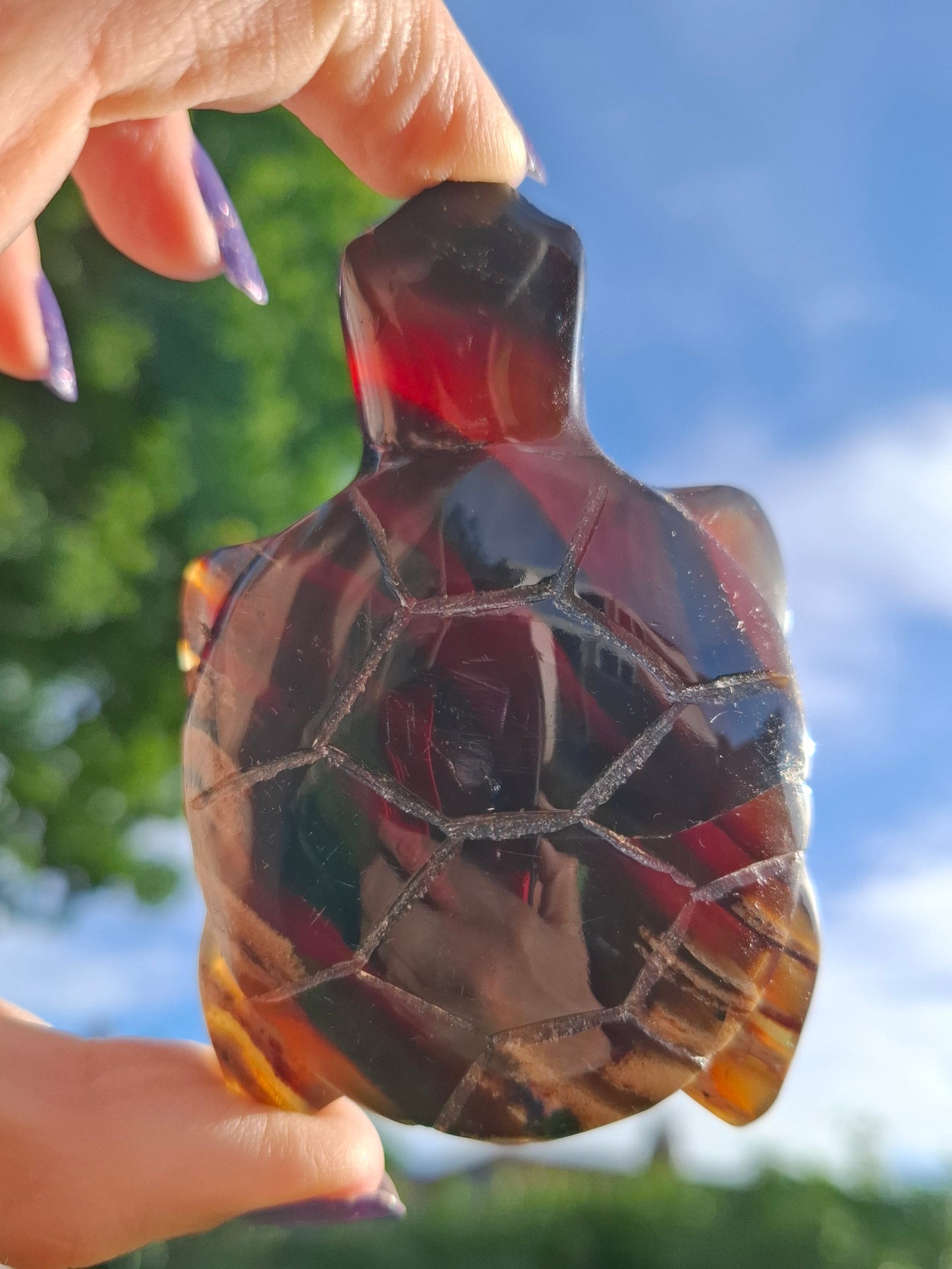Red Amber Turtle, 59.07g, Carving, Fossil (Ref: TT5)
