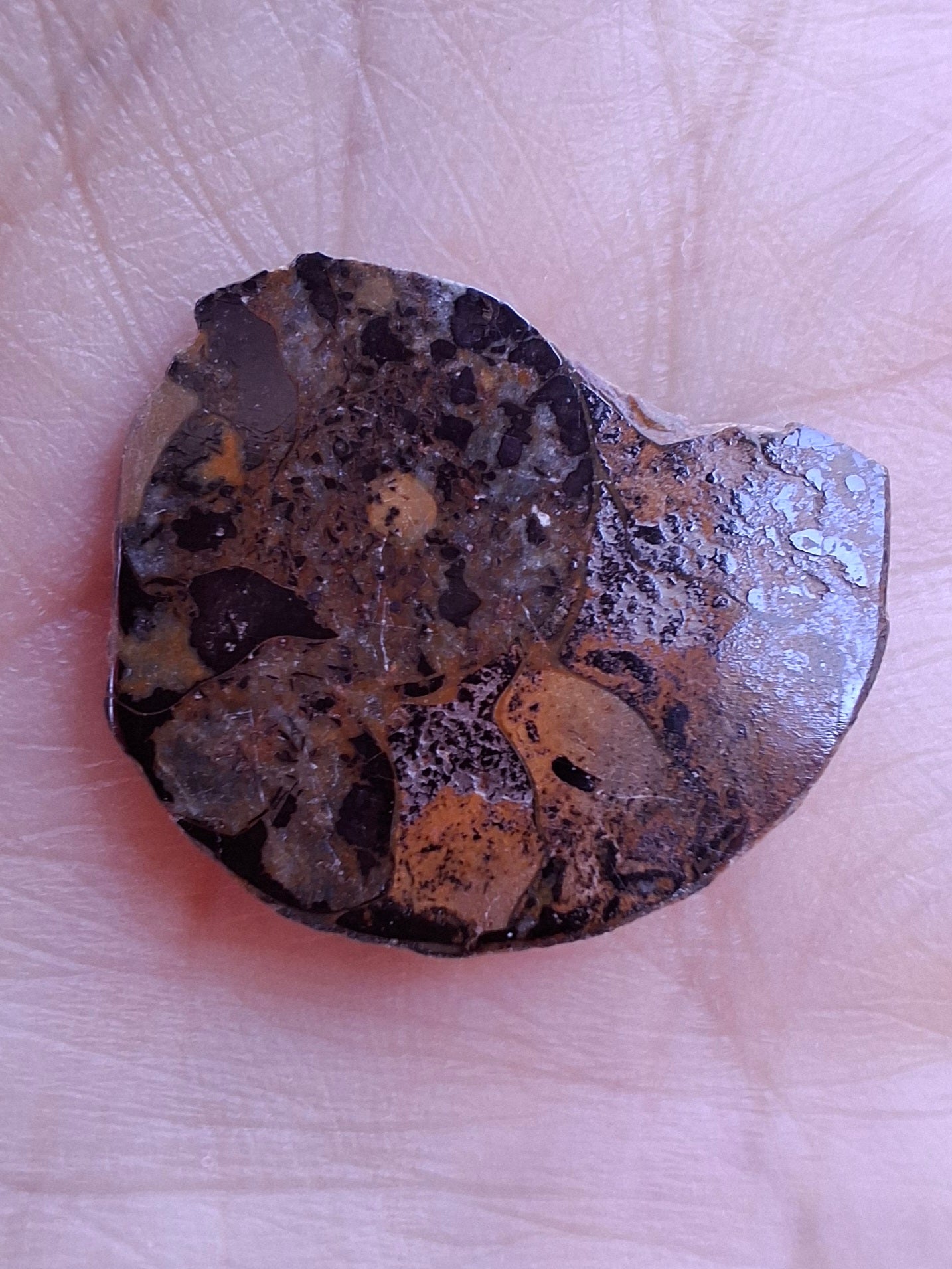 Small Haematite Ammonite HALF, 2.59g, Fossil (Ref: MA7)