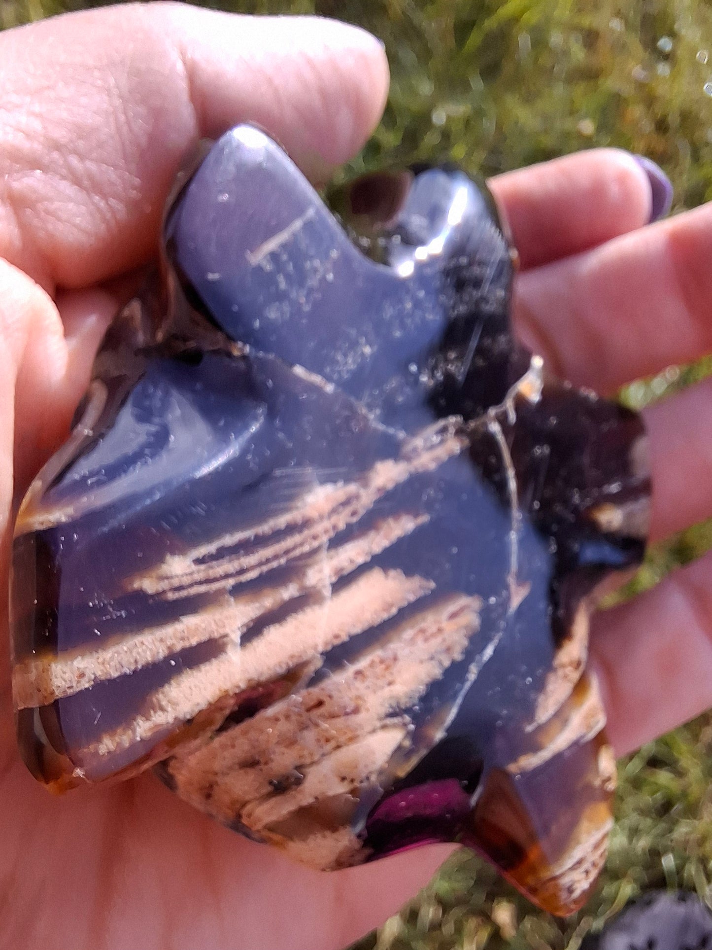 Red Amber Turtle, 59.07g, Carving, Fossil (Ref: TT5)