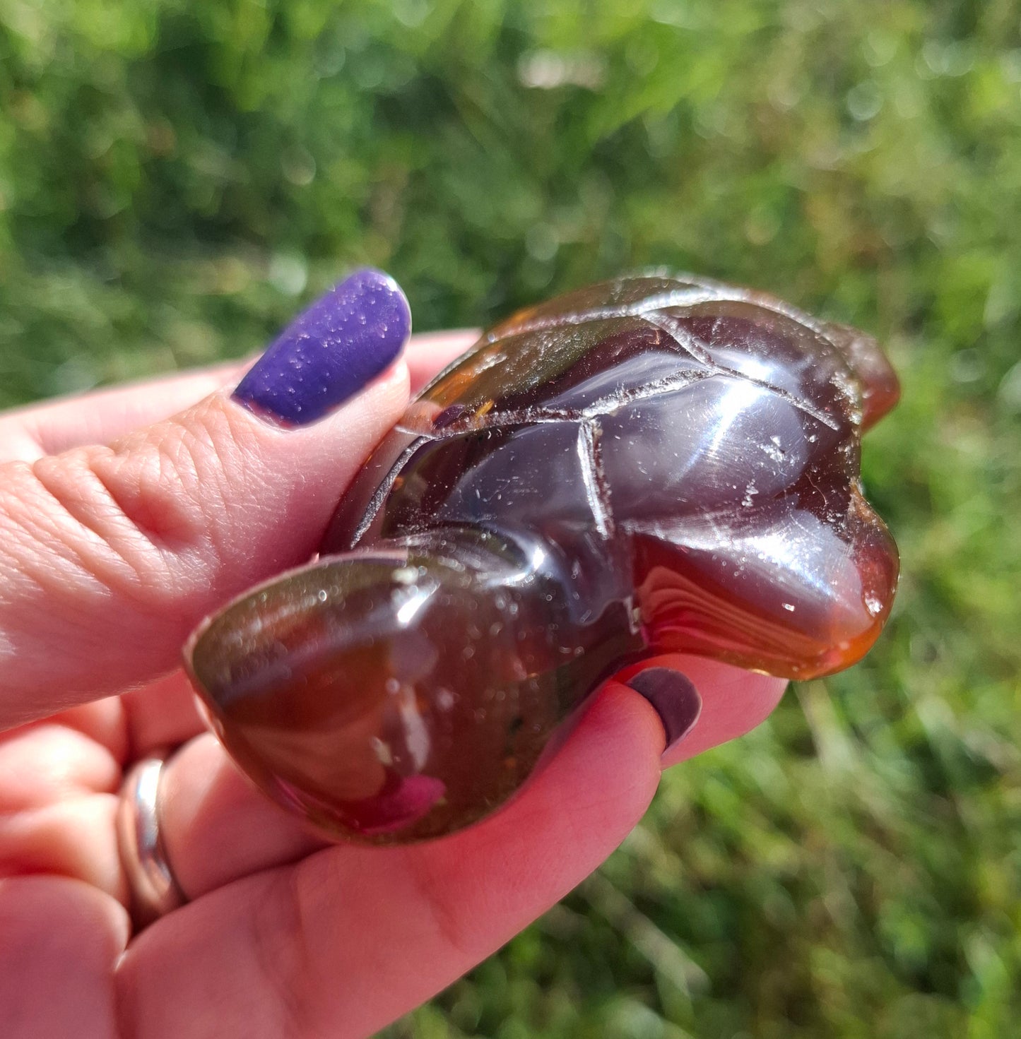 Red Amber Turtle, 49.15g, Carving, Fossil (Ref: TT1)