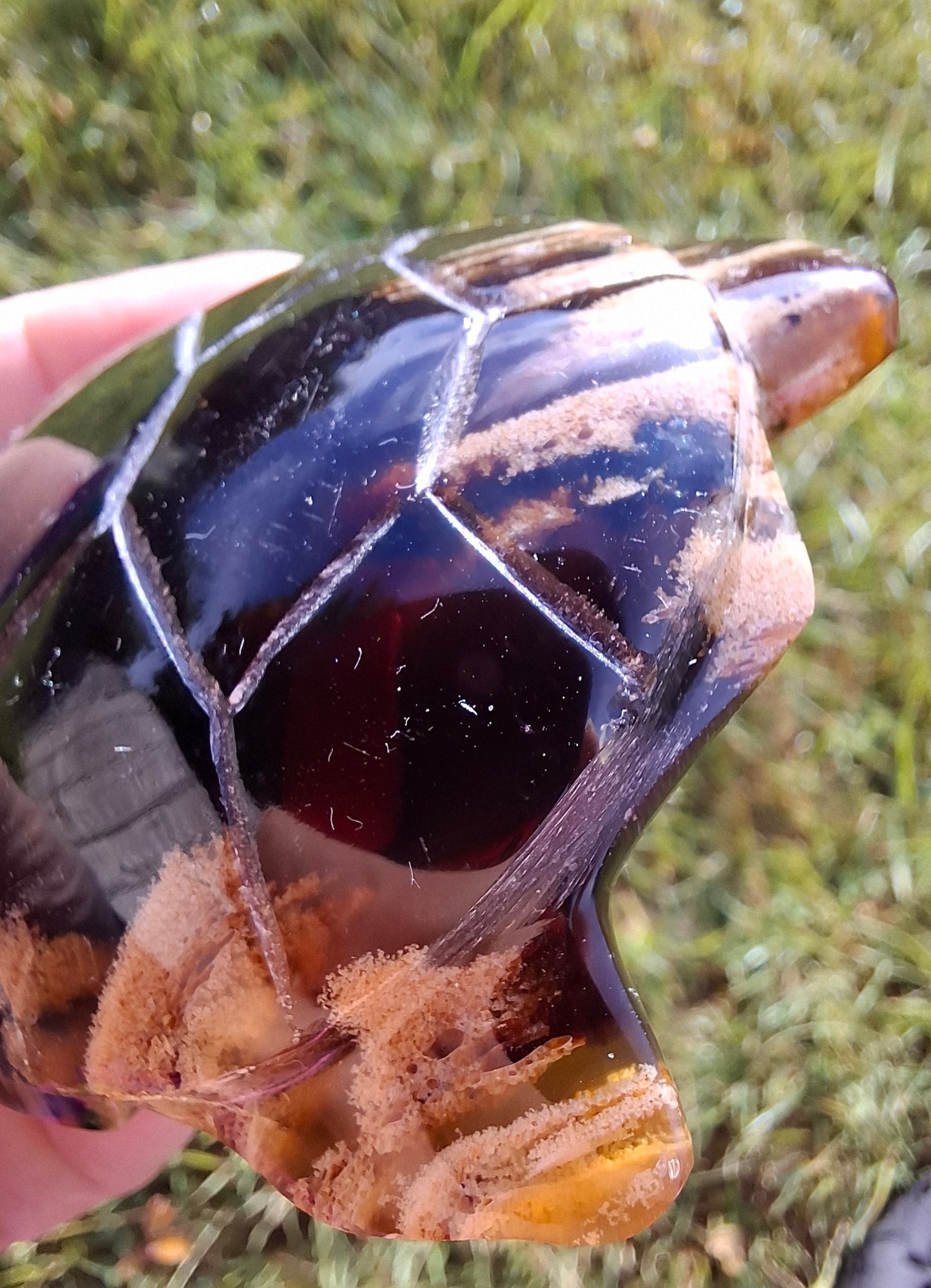 Red Amber Turtle, 59.07g, Carving, Fossil (Ref: TT5)