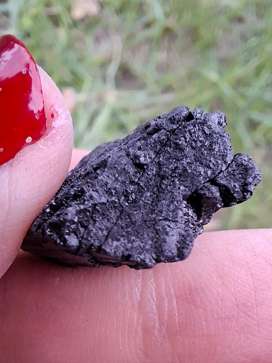 Black Tourmaline RAW, 7.14g, Crystal (Ref: RBT19)