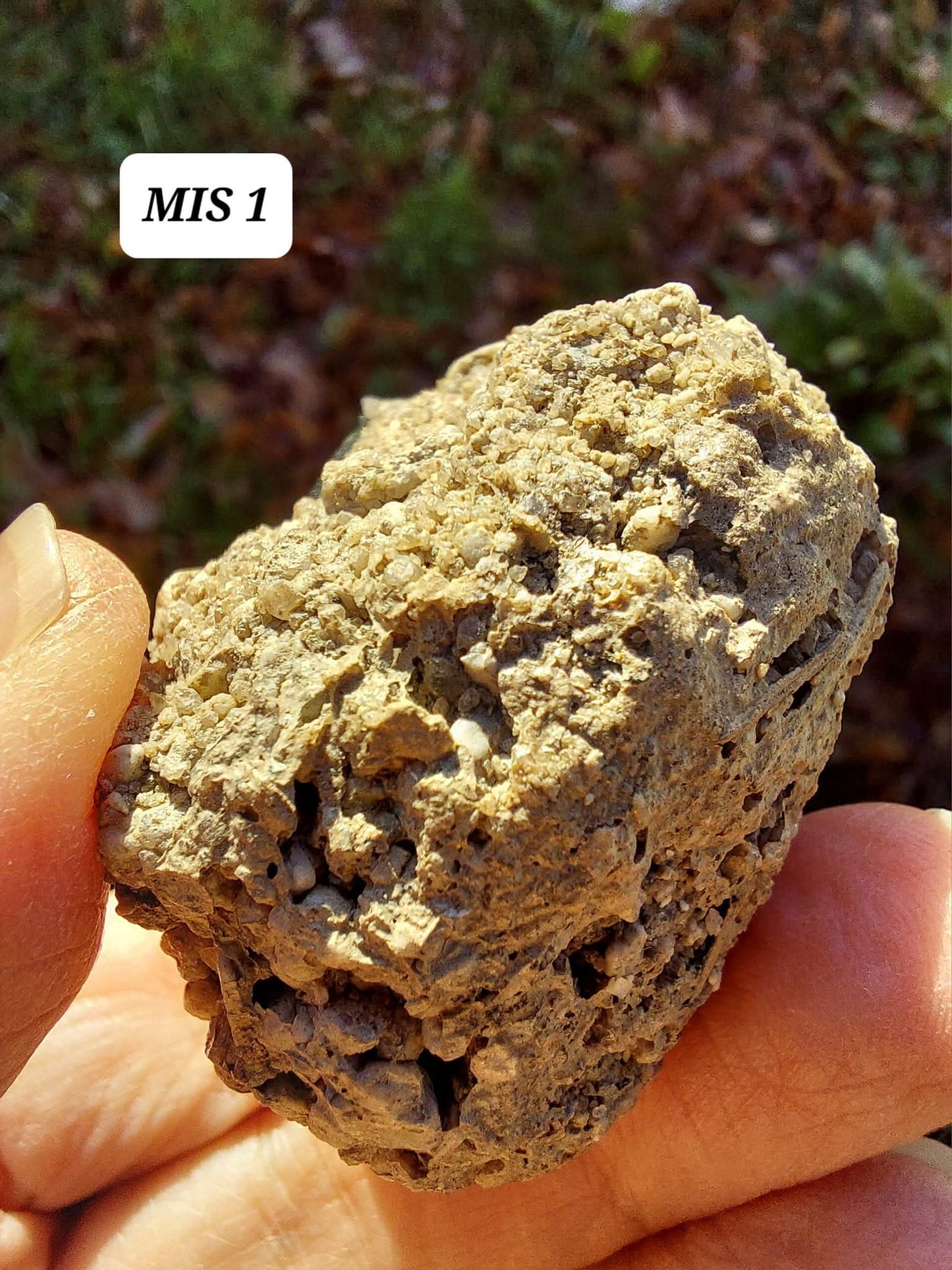Moldavite In-Situ (in matrix), Besednice, Est-13g, Tektite (Ref: MIS1)