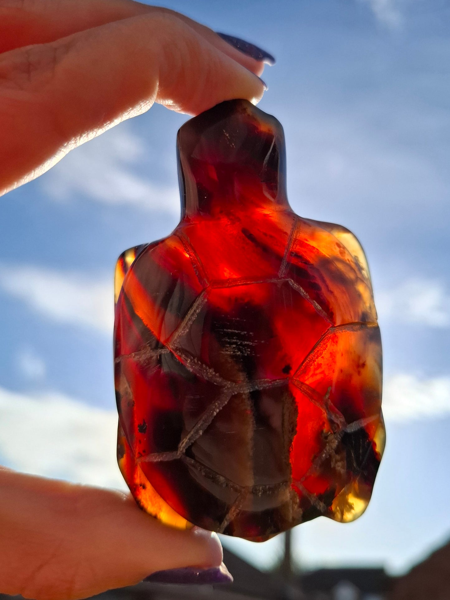 Red Amber Turtle, 52.00g, Carving, Fossil (Ref: TT3)