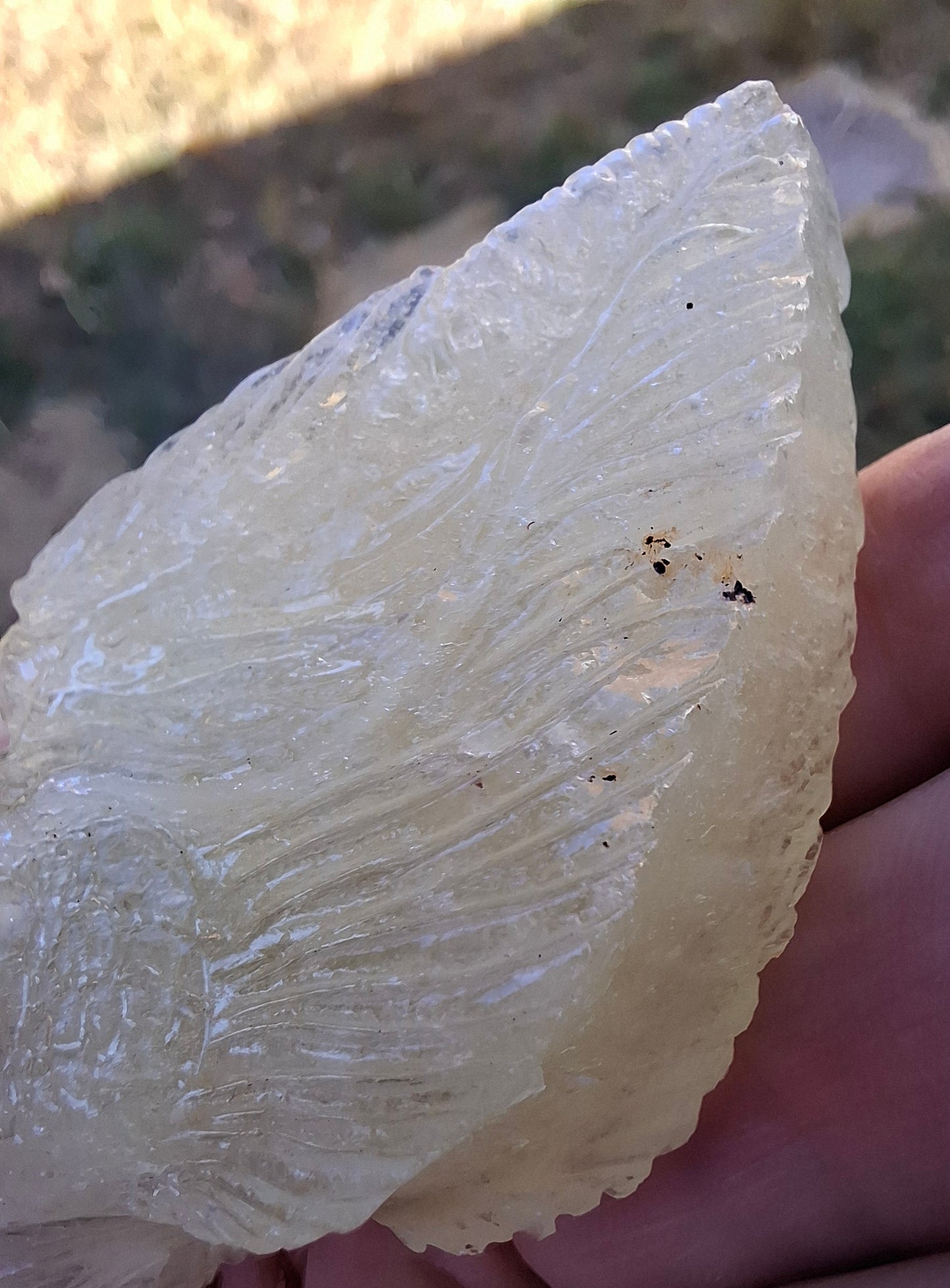 Libyan Desert Glass DRAGON HEAD Carving, 75.84g, Tektite (Ref: Dragon1)