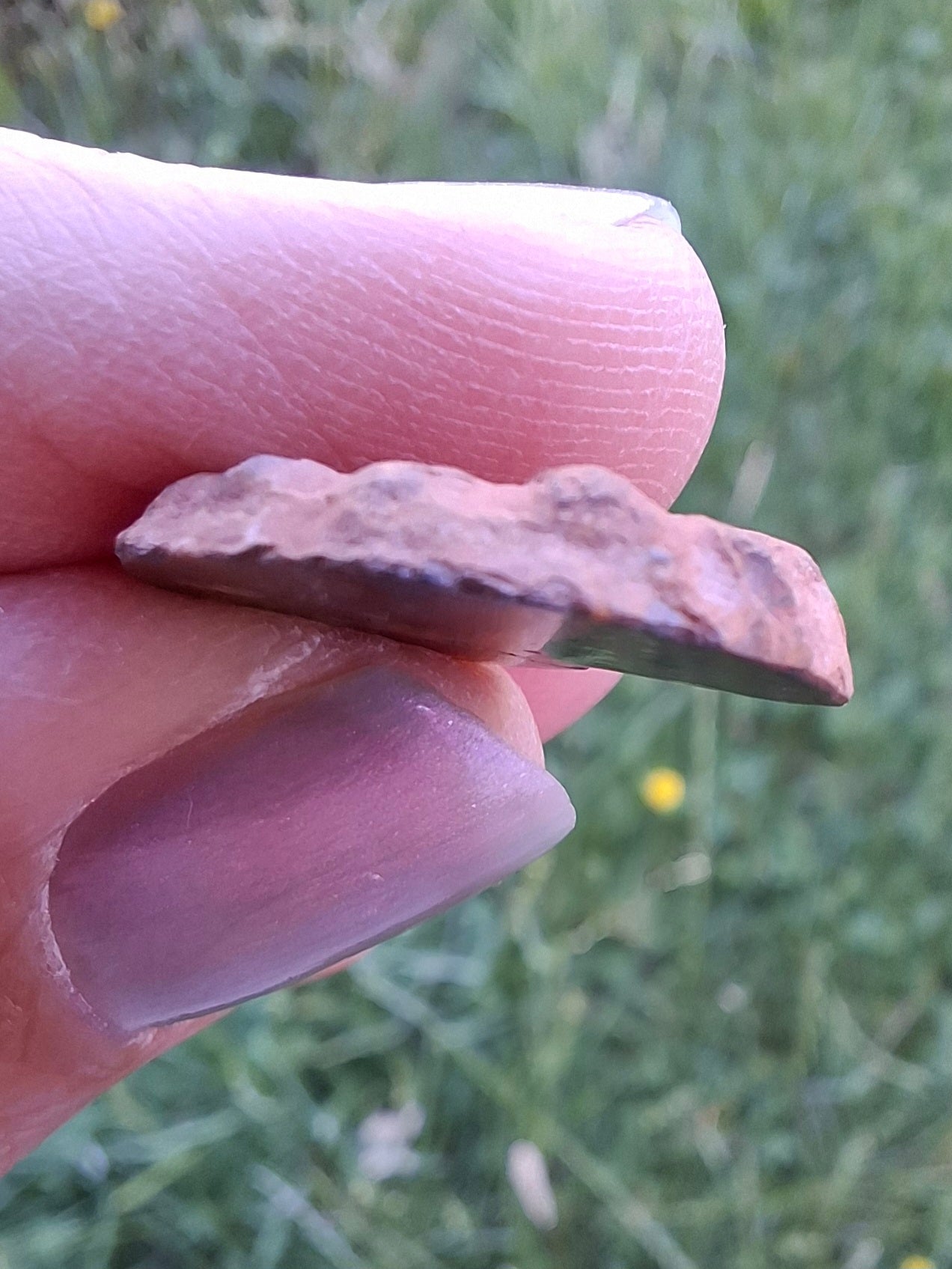 Small Haematite Ammonite HALF, 1.41g, Fossil (Ref: MA6)