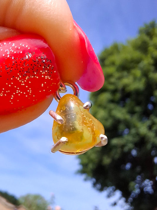 Baltic Amber Pendant, 925 Silver, Fossil (Ref: AP25)