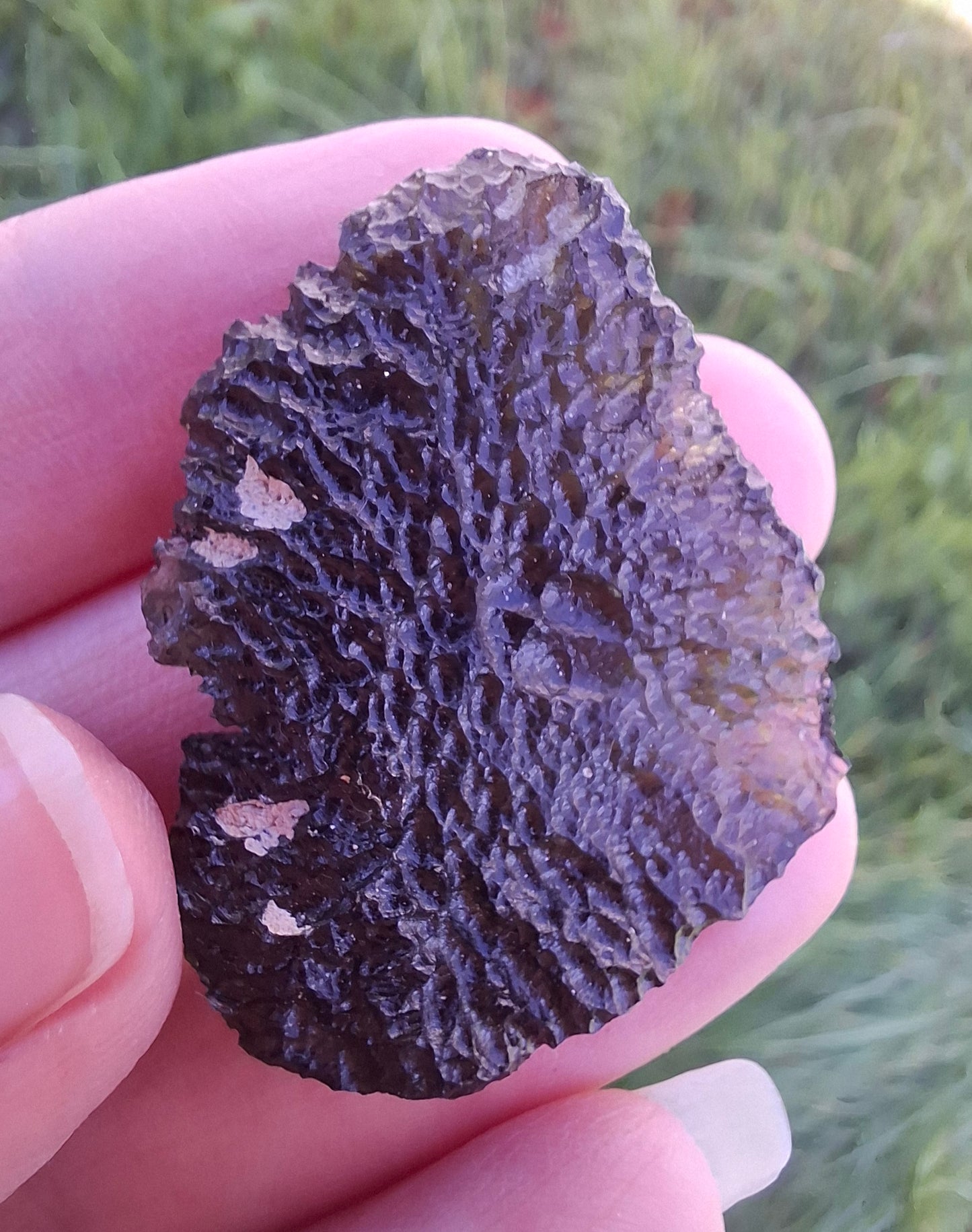 Moldavite Piece, CHLUM, 11.18g, Tektite (Ref: 1166)