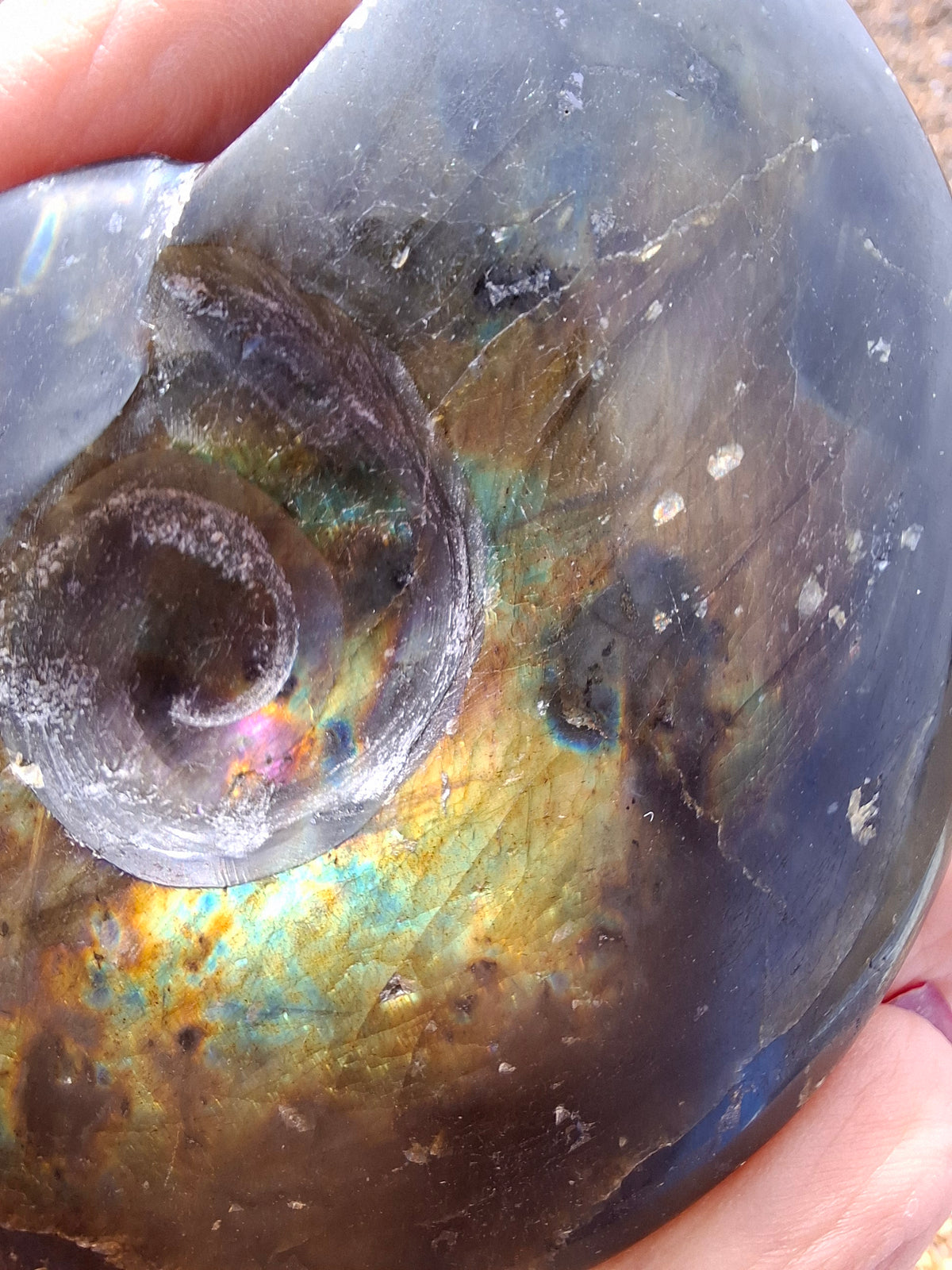 Labradorite Ammonite Carving, 160.21g, Crystal (Ref: laba4)