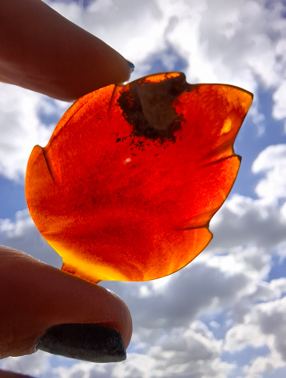 Red Amber Leaf Carving, 7.65g, Fossil (Ref: Leaf9)