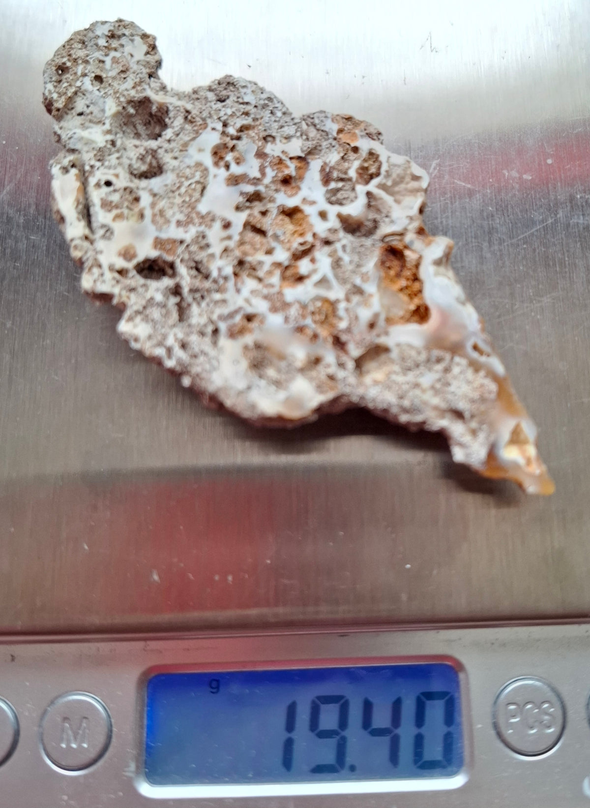 Fossilised Coral replaced by Chalcedony/Agate, Fossil (Ref: FCA2)