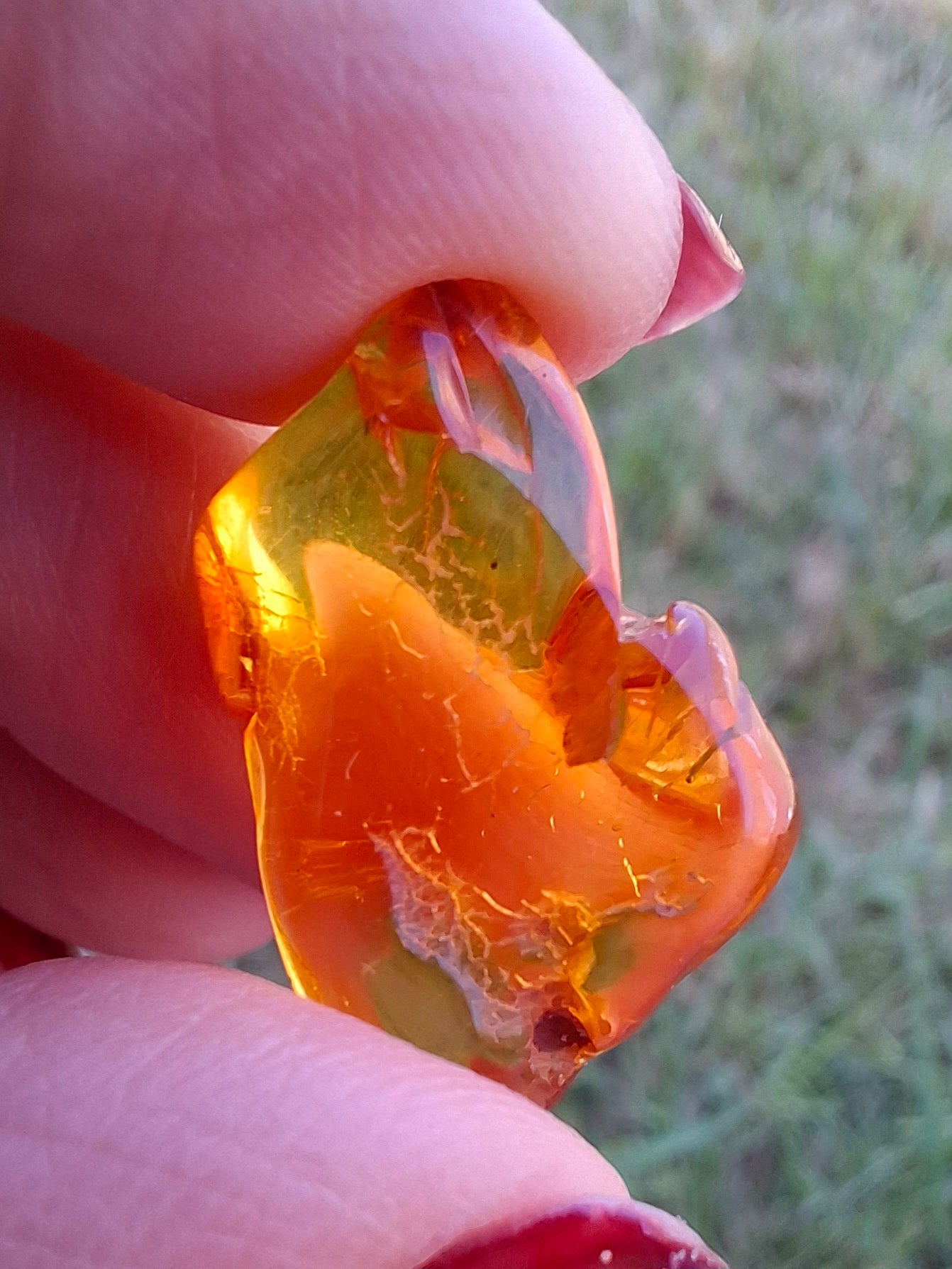 Baltic Amber, 1.31g, Fossil (Ref: A234)