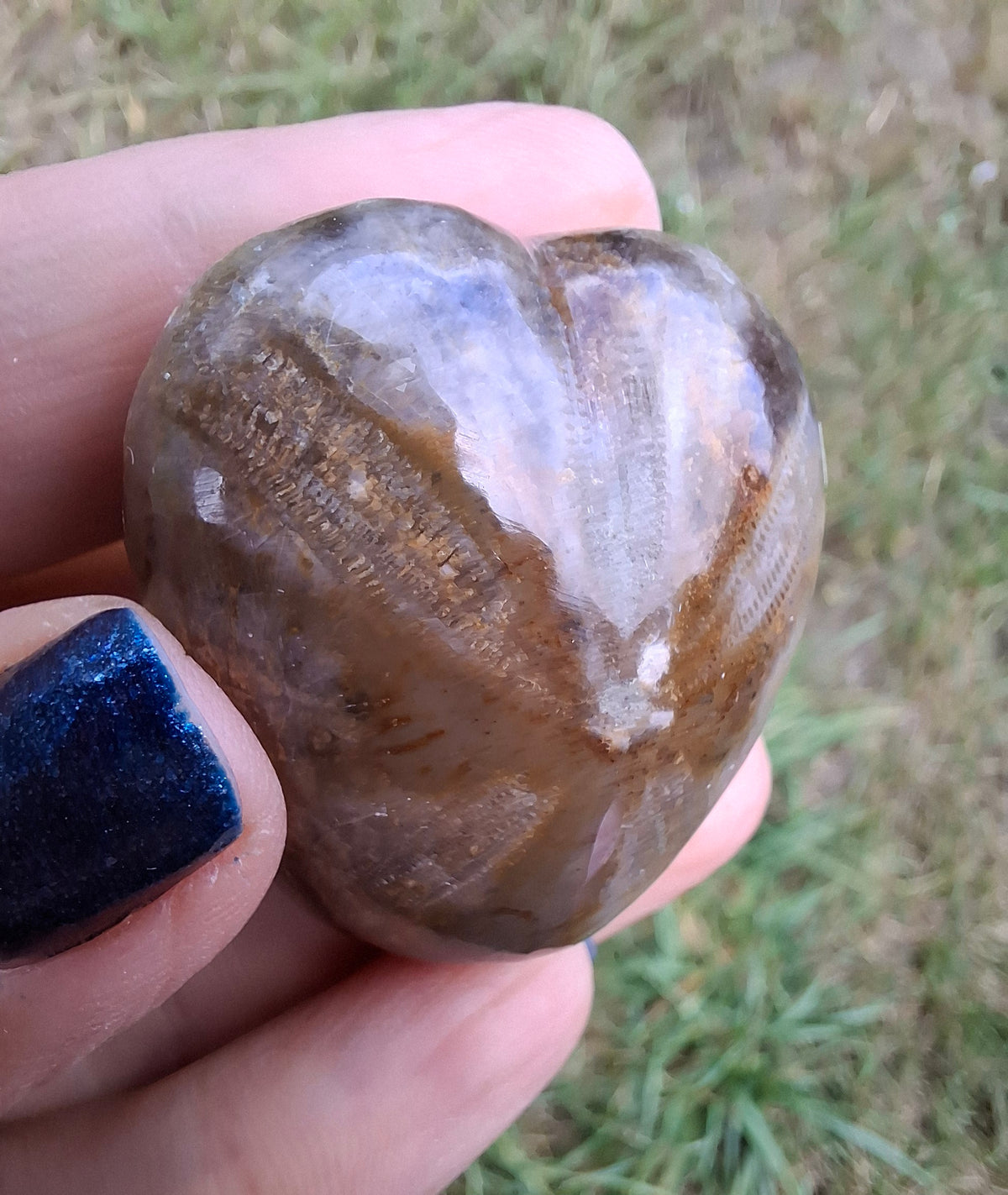 Polished Sea Urchin, Fossil (Ref: SU3)